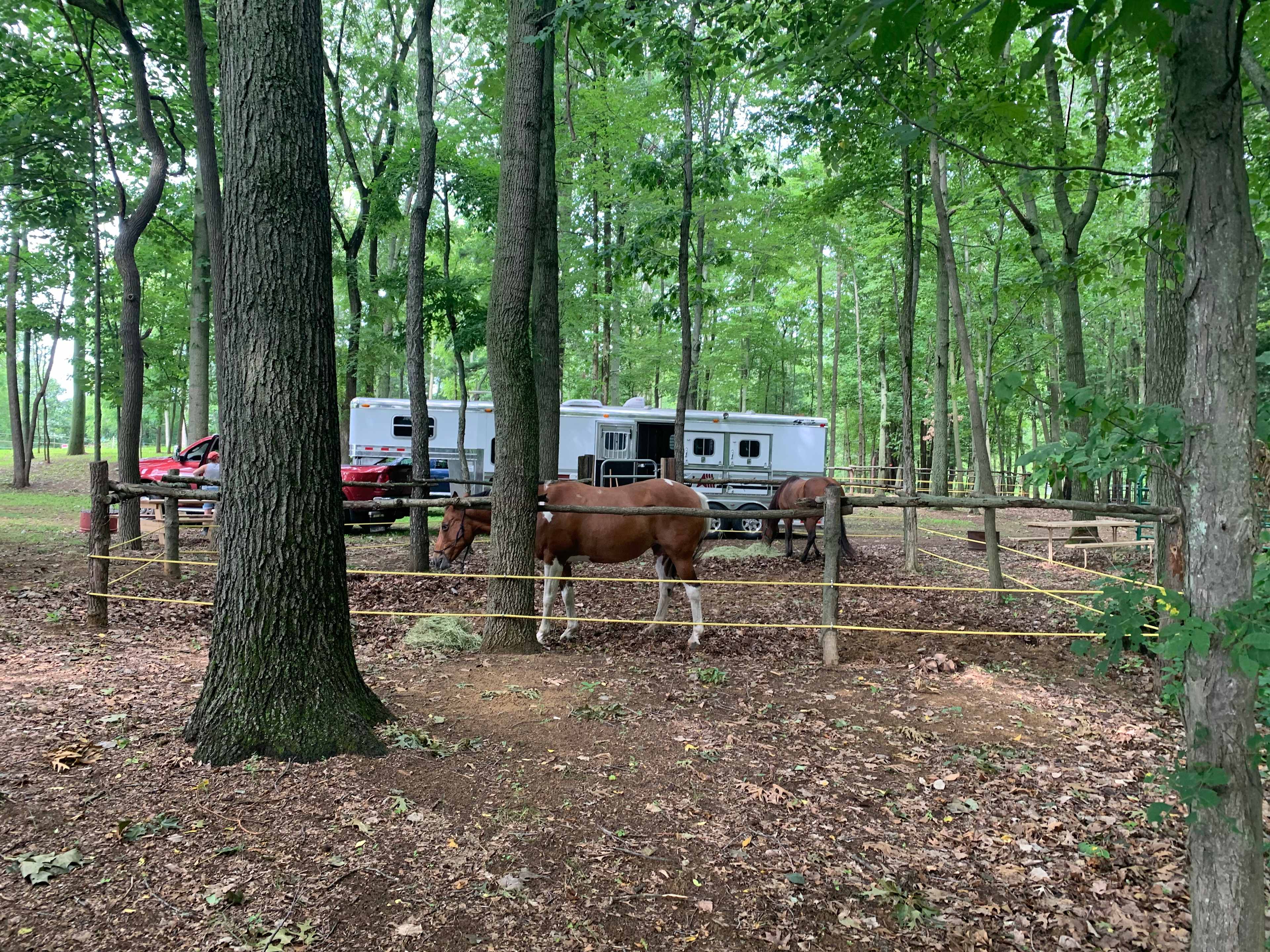 Horseshoe Overnight And Riding