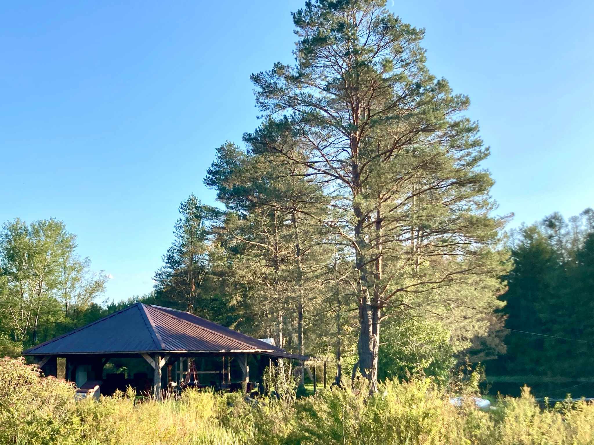Camp on the Organic Blueberry Pond!