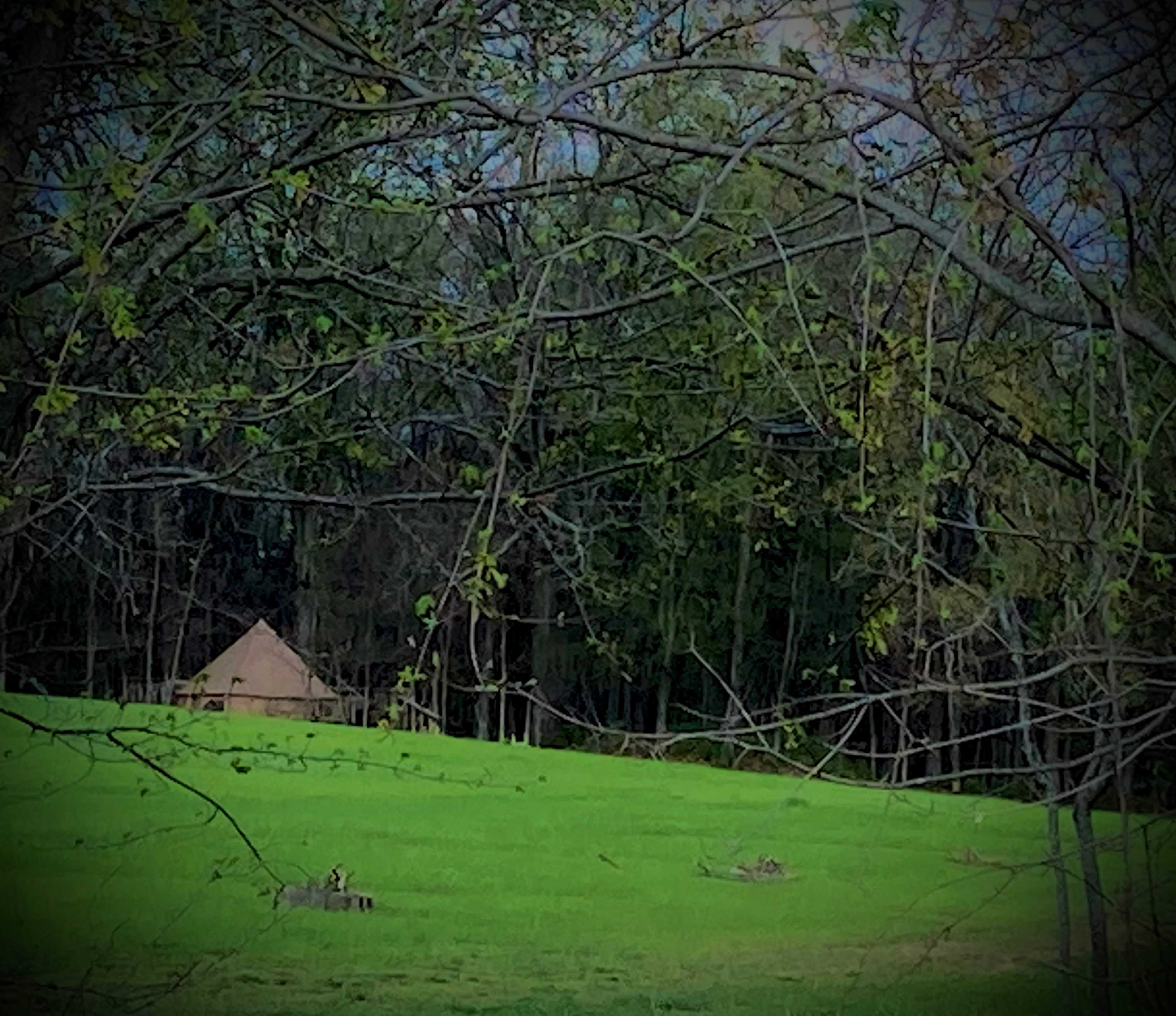 The Art Farm Women's Retreat