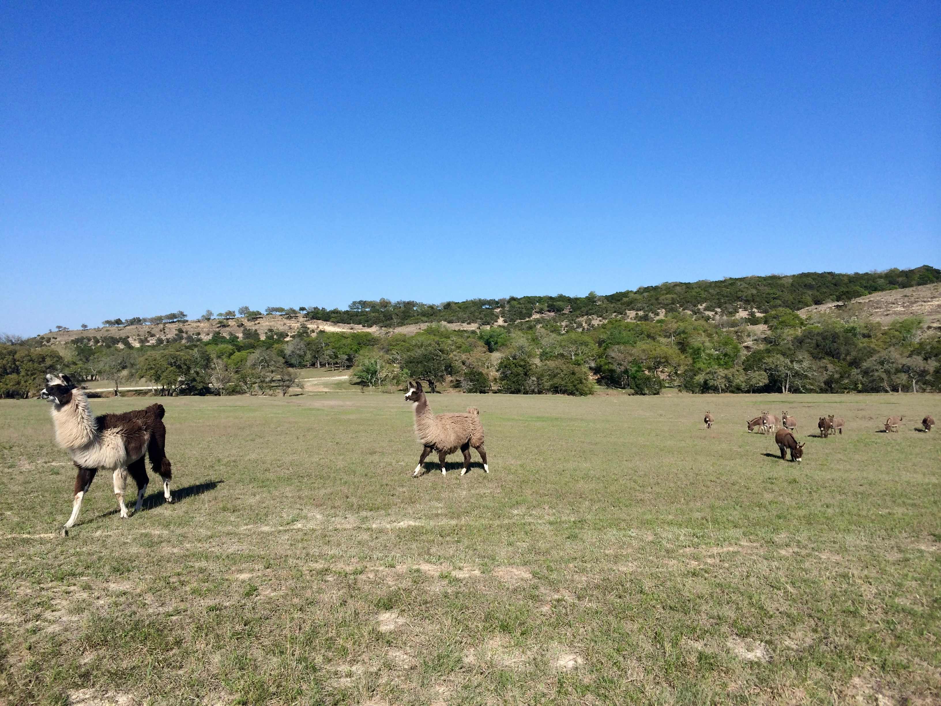 Double H Ranch