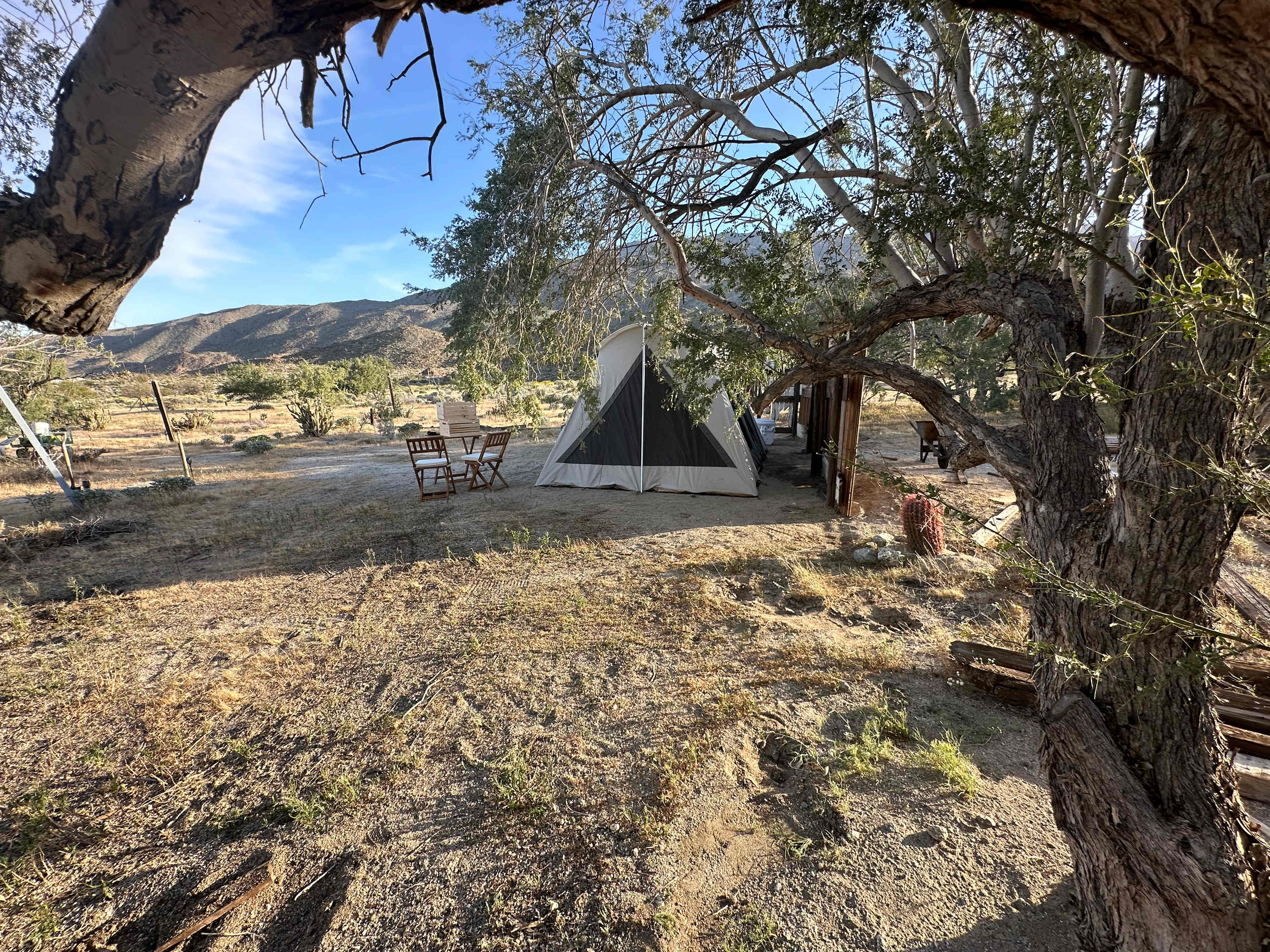 Picture of the site