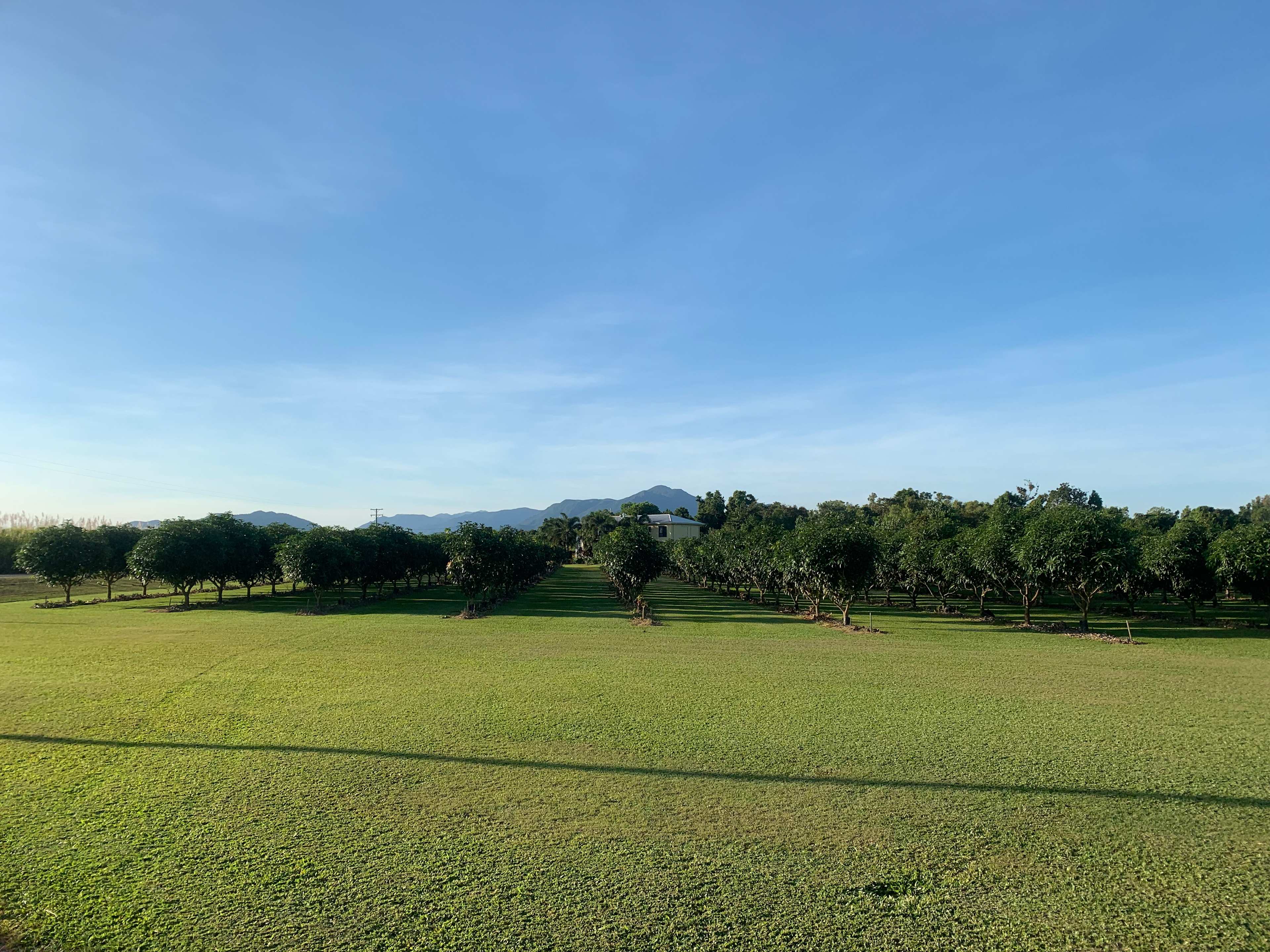 Hinchinbrook View