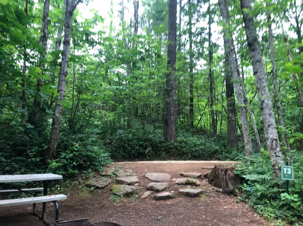 Picture of the site