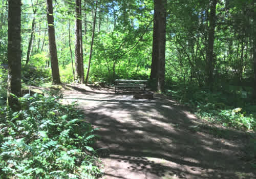 Picture of the site