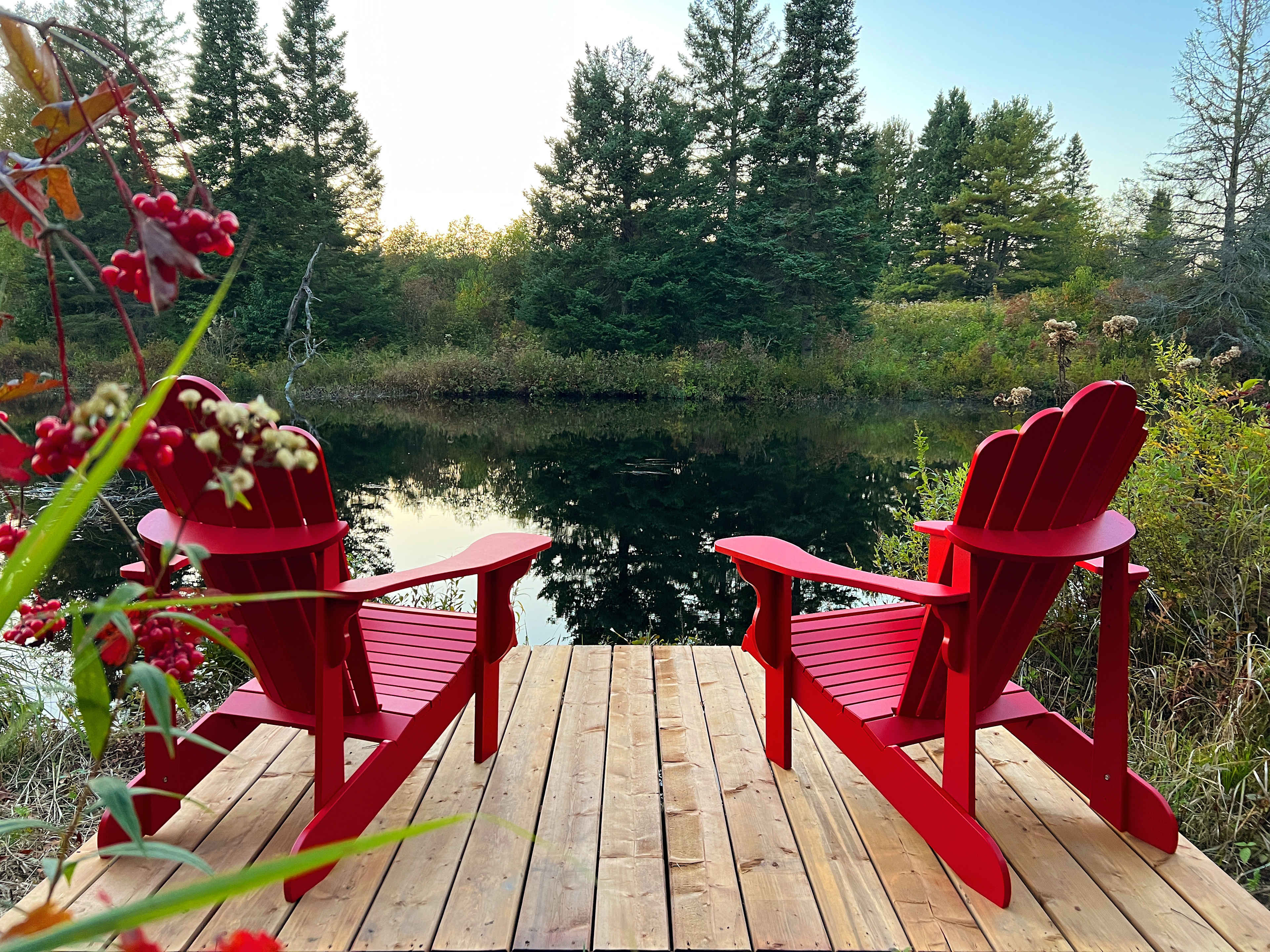Image showcasing The best dome rentals in Ontario