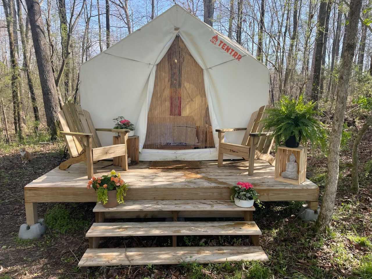 Eco-Friendly Glamping Tent