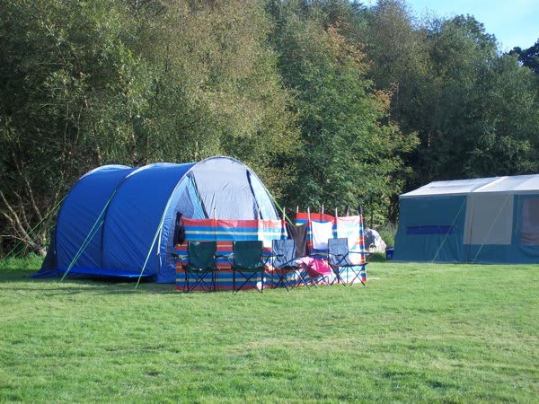 Teifi Meadows