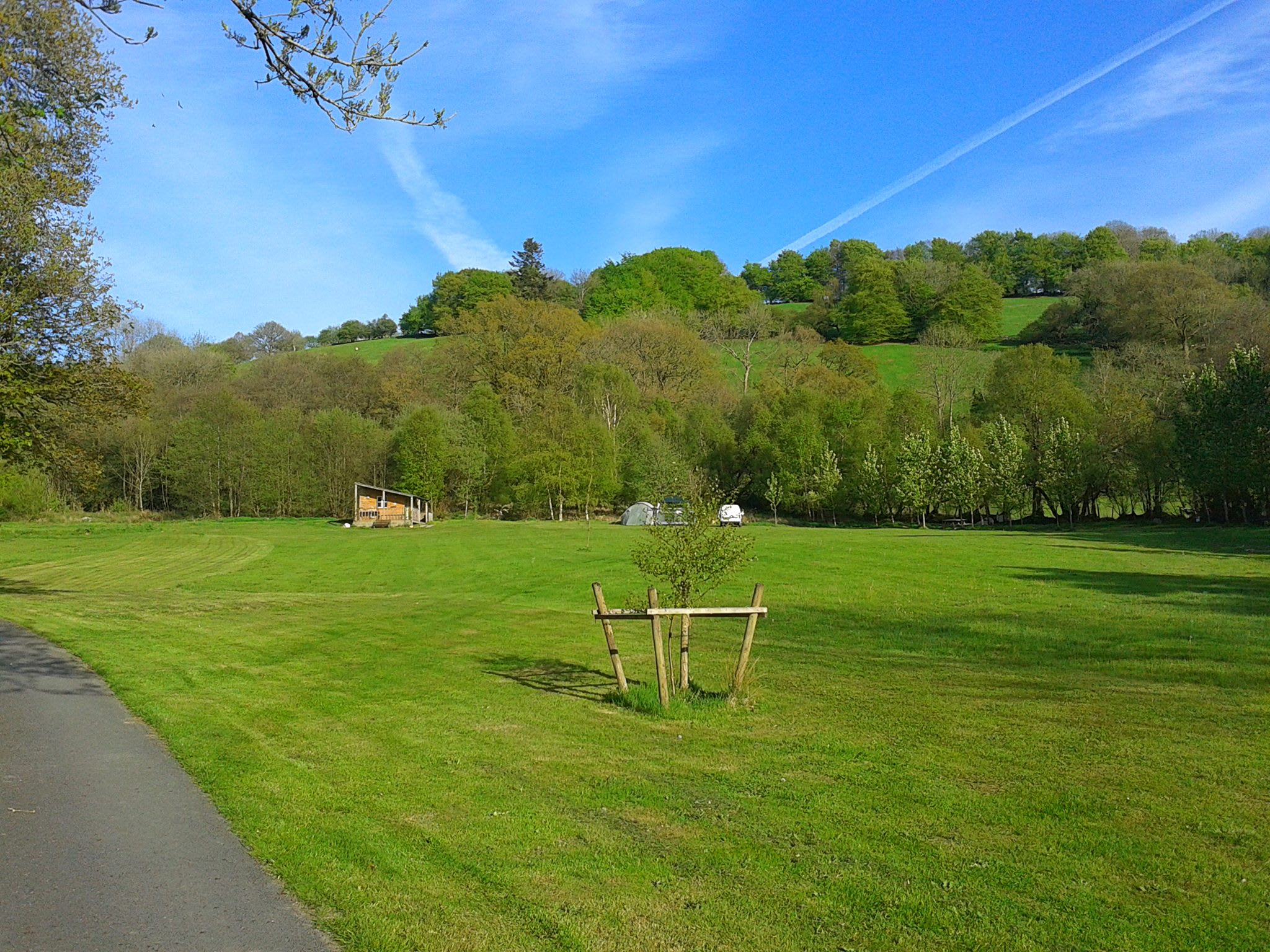 Teifi Meadows