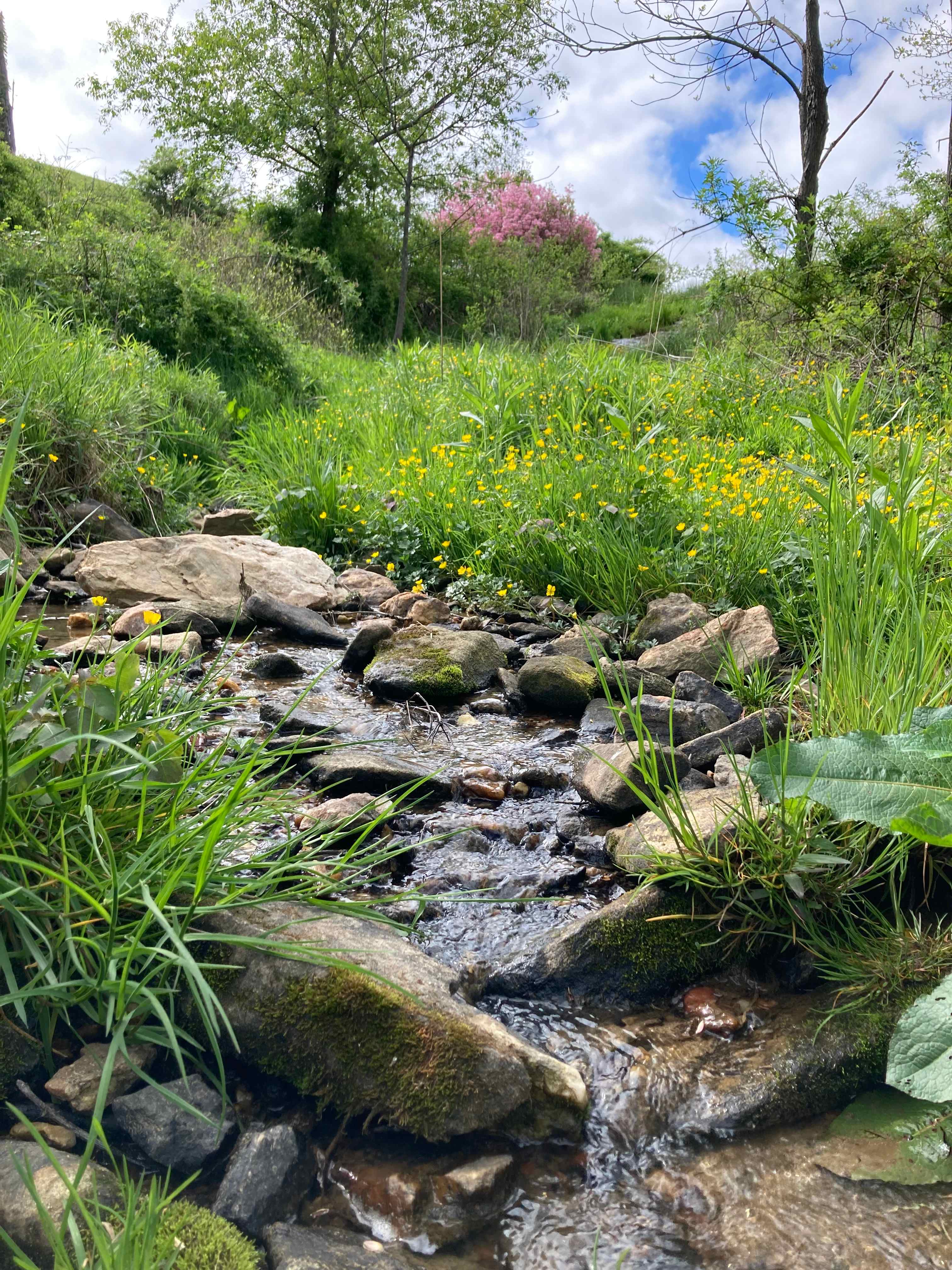 Redeemers Ridge Retreat