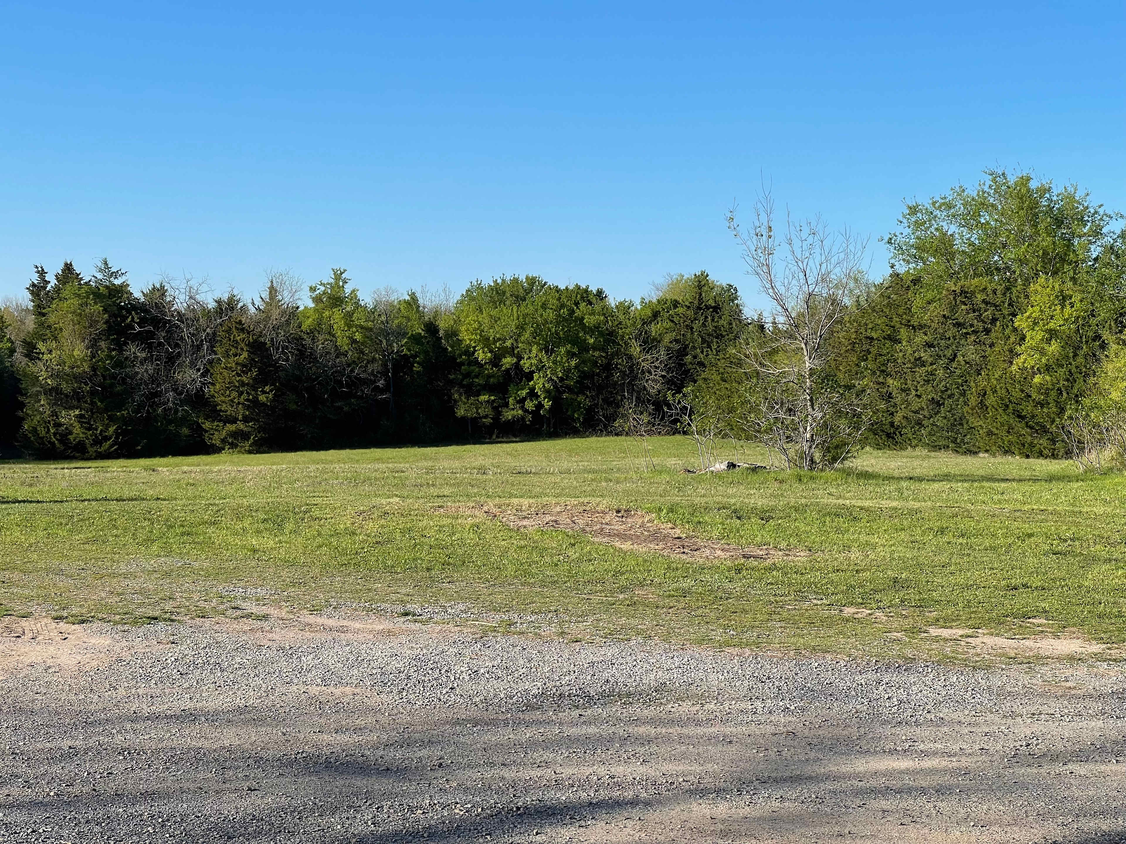 Pasture Near Arledge Ridge On 78