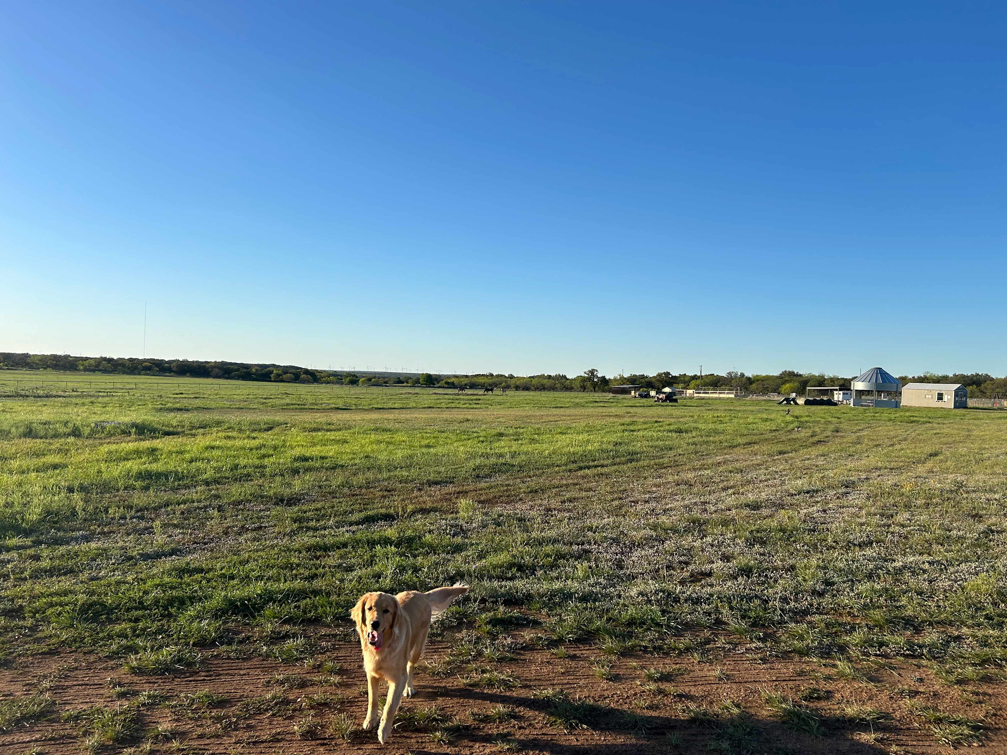 Fair Weather Farm