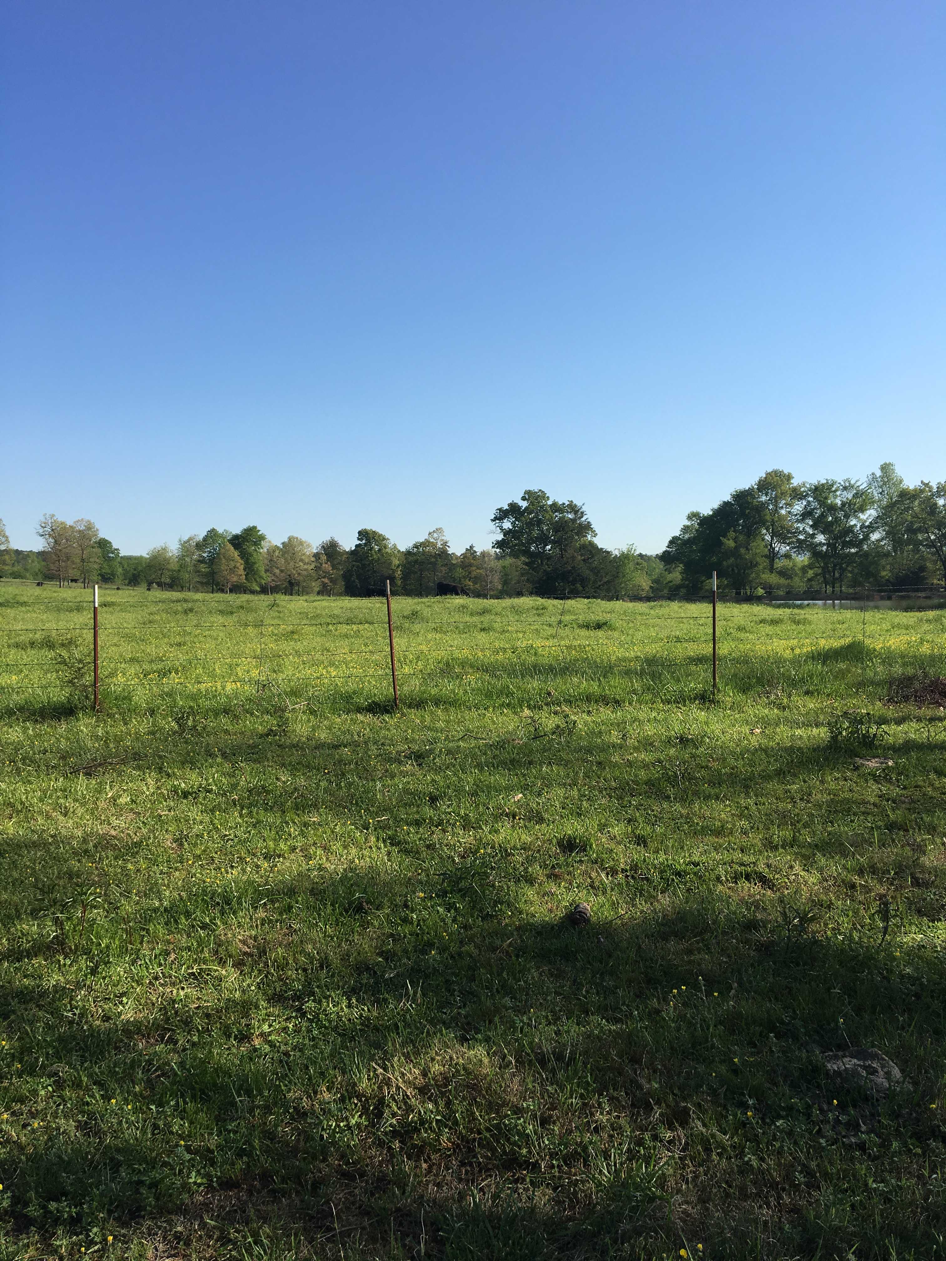 Working Ranch Best Area