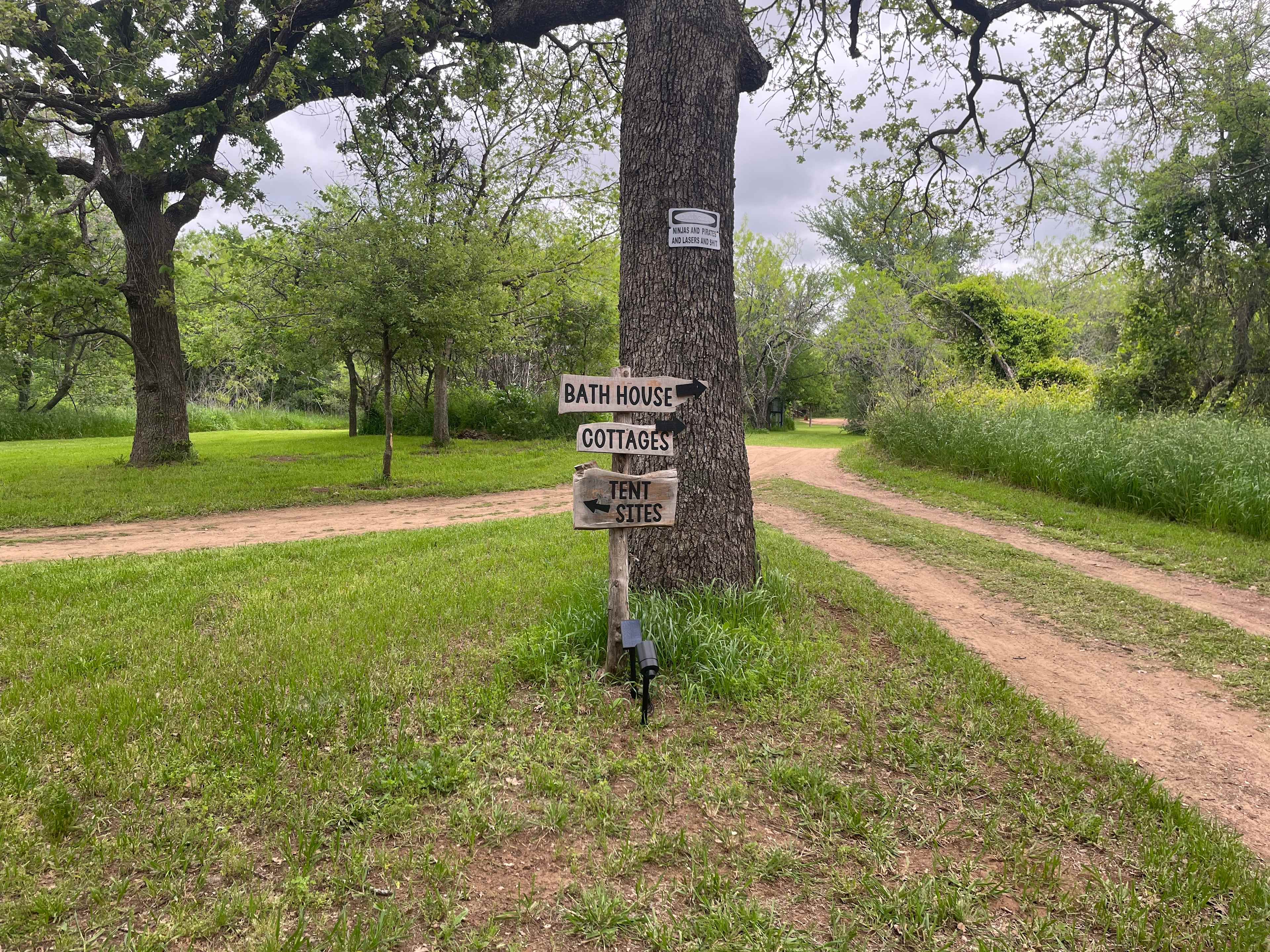 Picture of the site