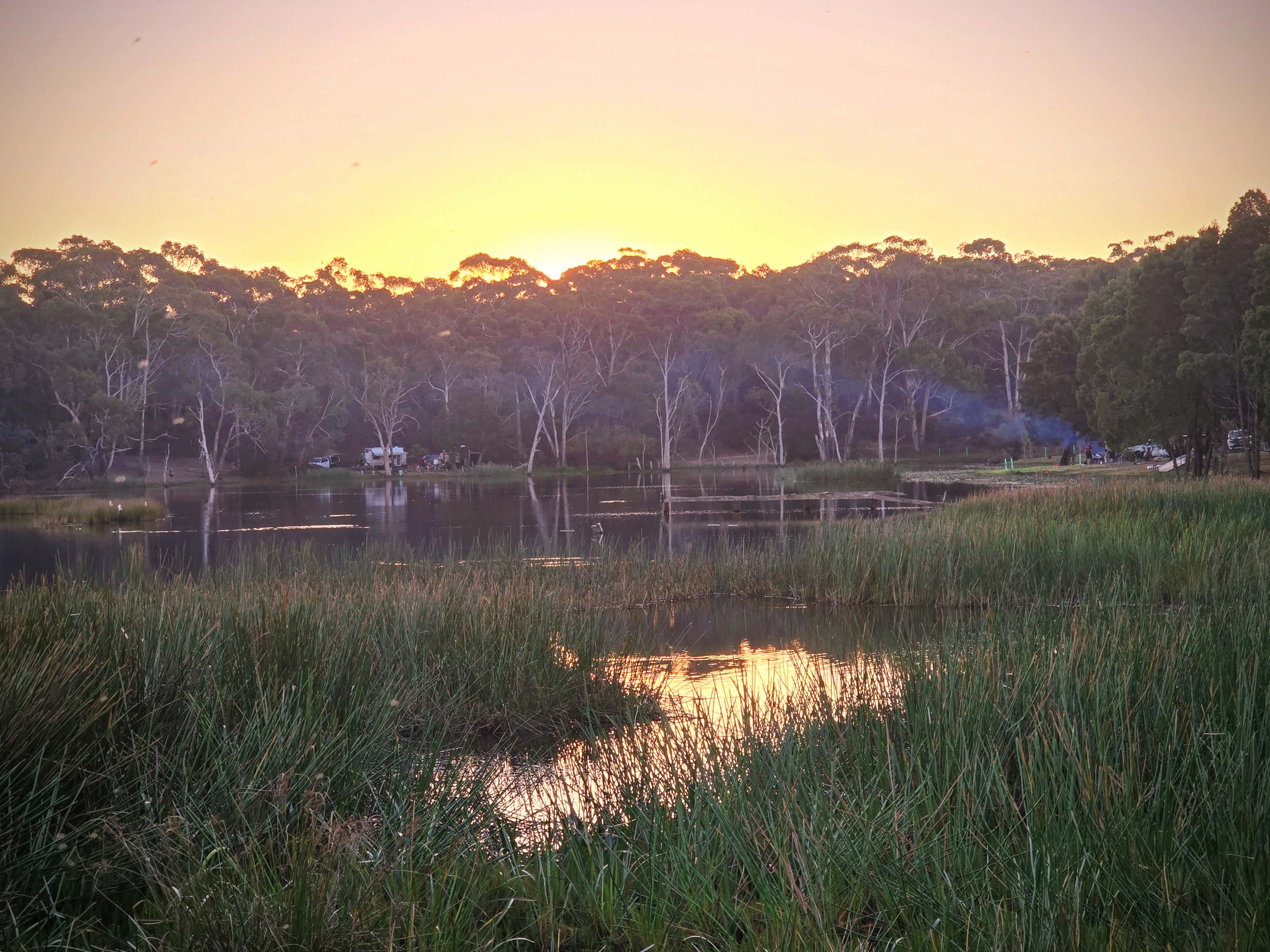 Lancefield Lake's A WETLANDS WONDER
