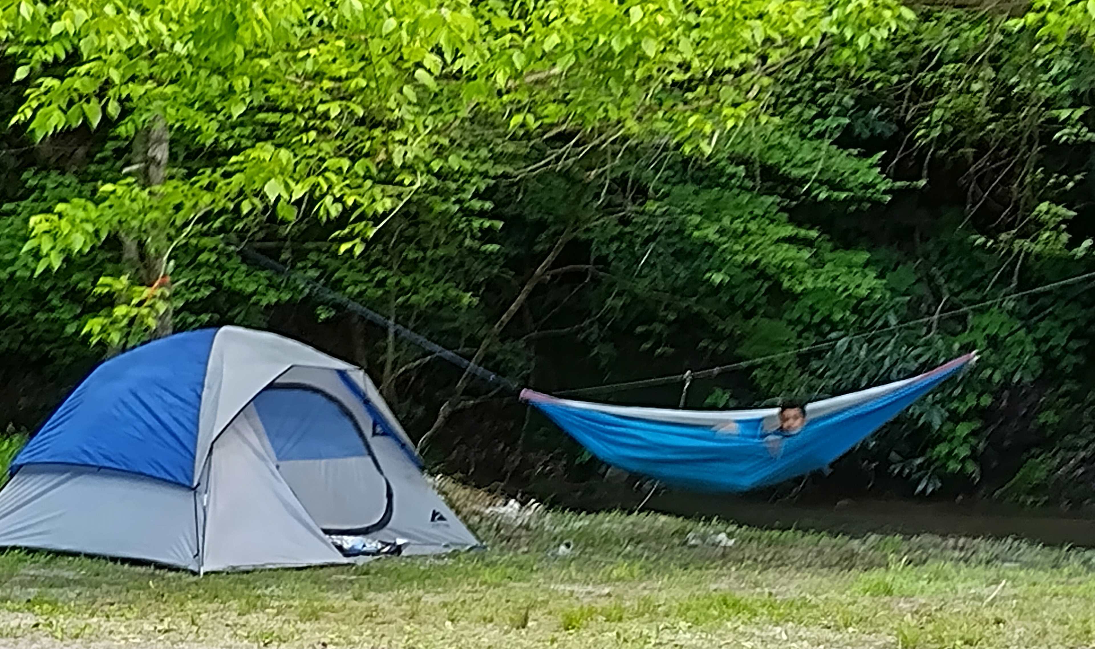 Tent camping by the creek.