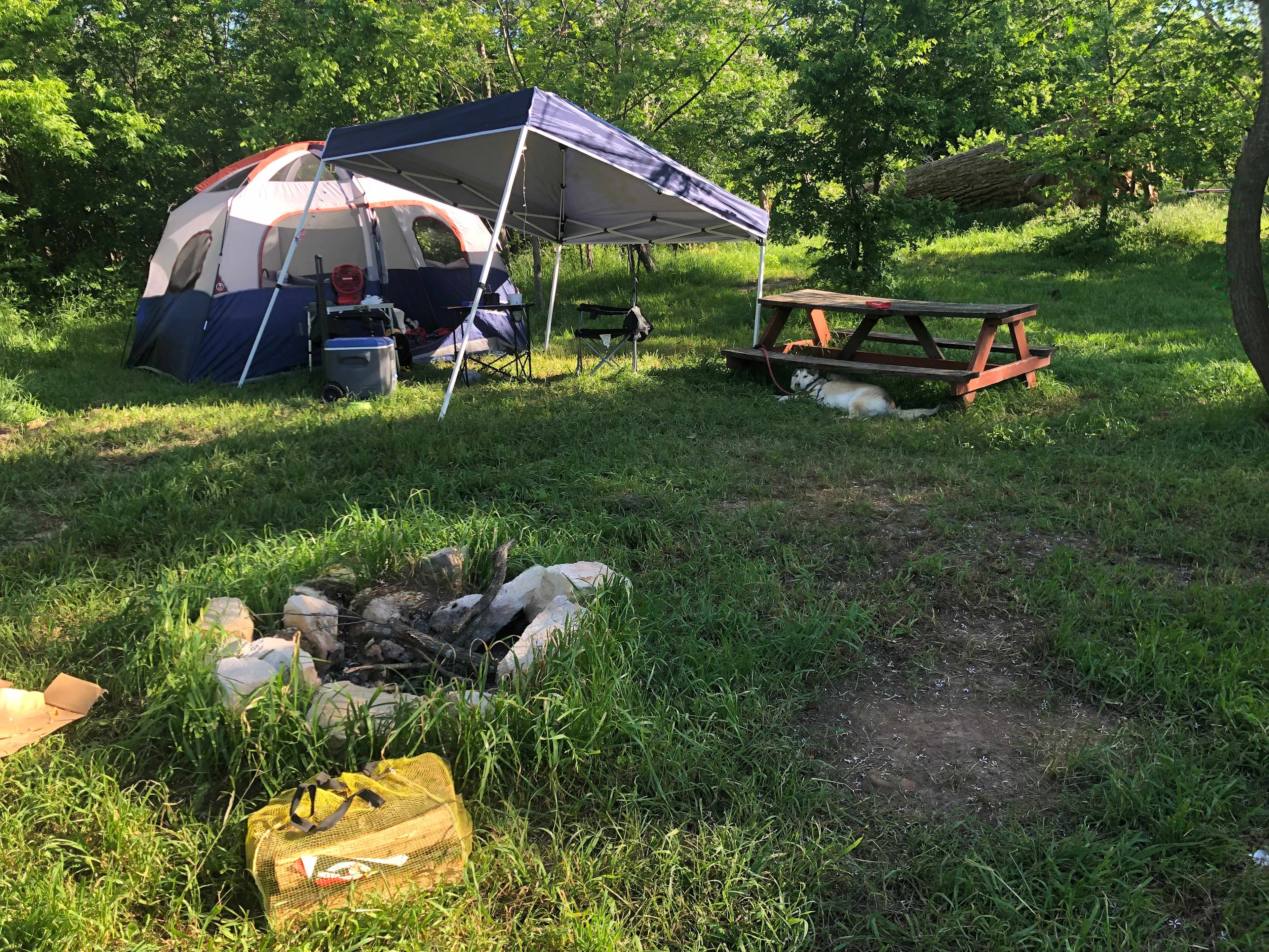 Picture of the site