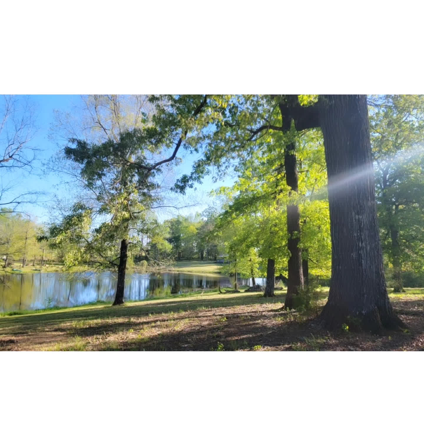 Dispersed Campign by the pond 