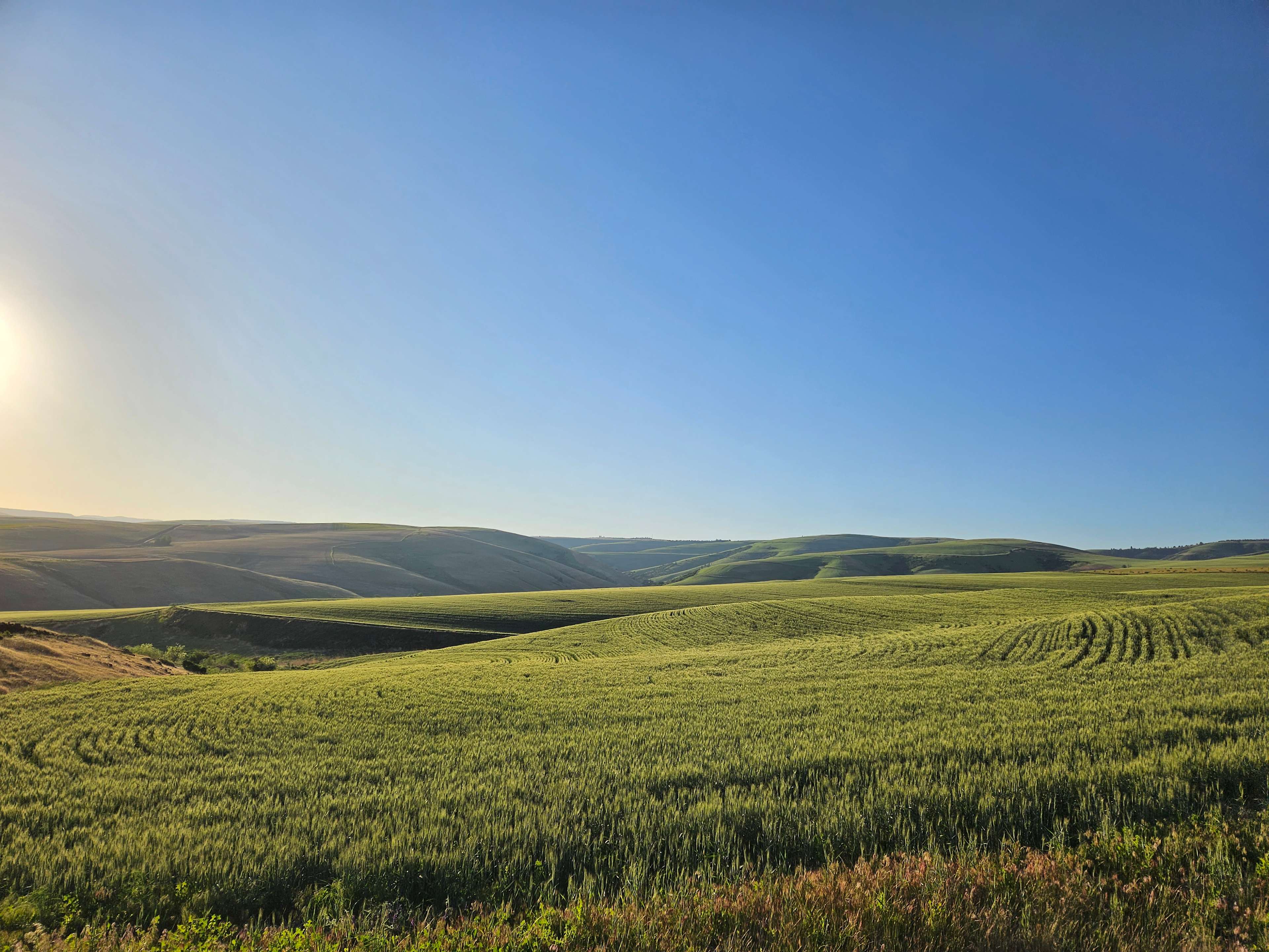 Shumway Farm