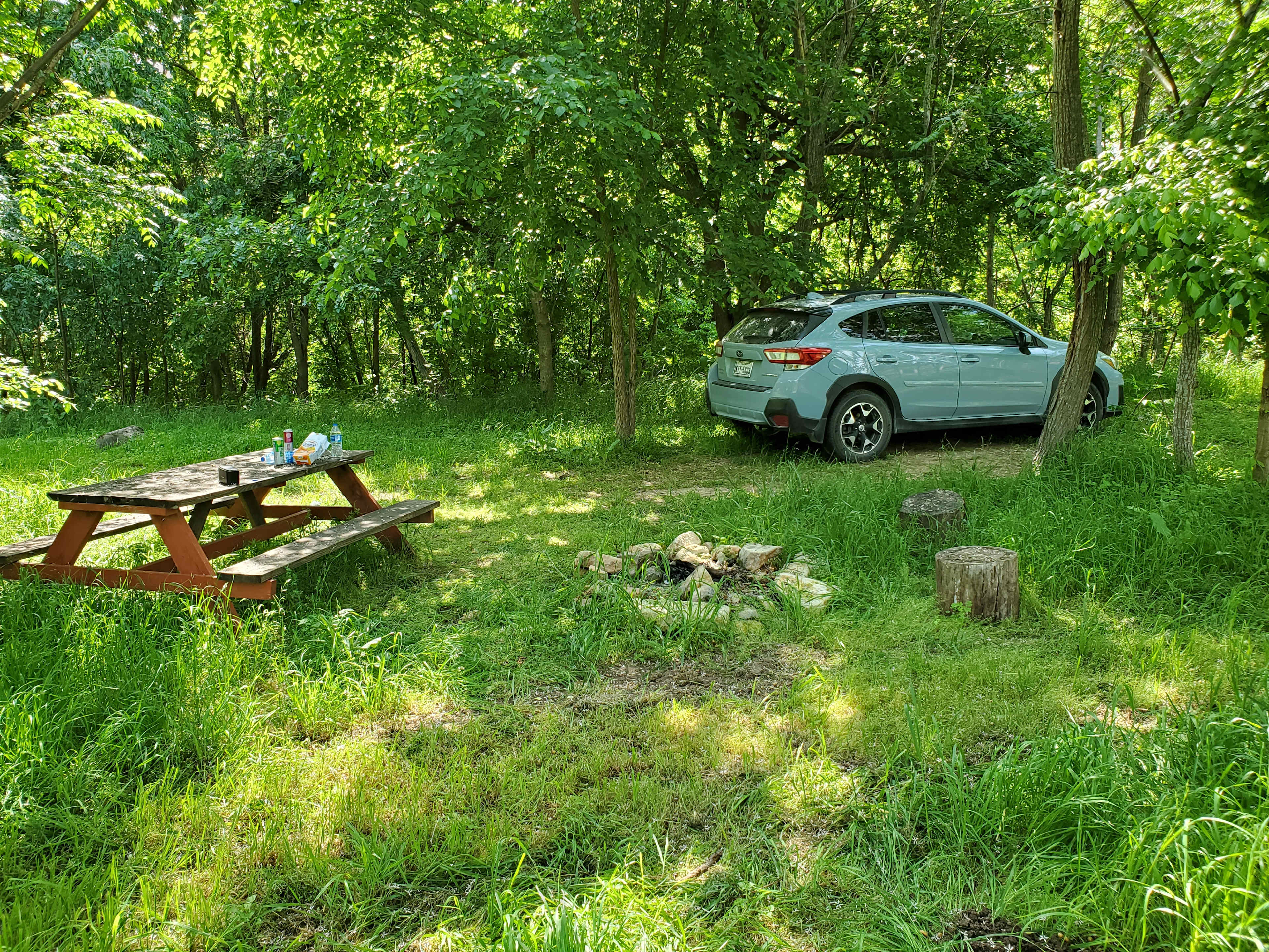 Picture of the site
