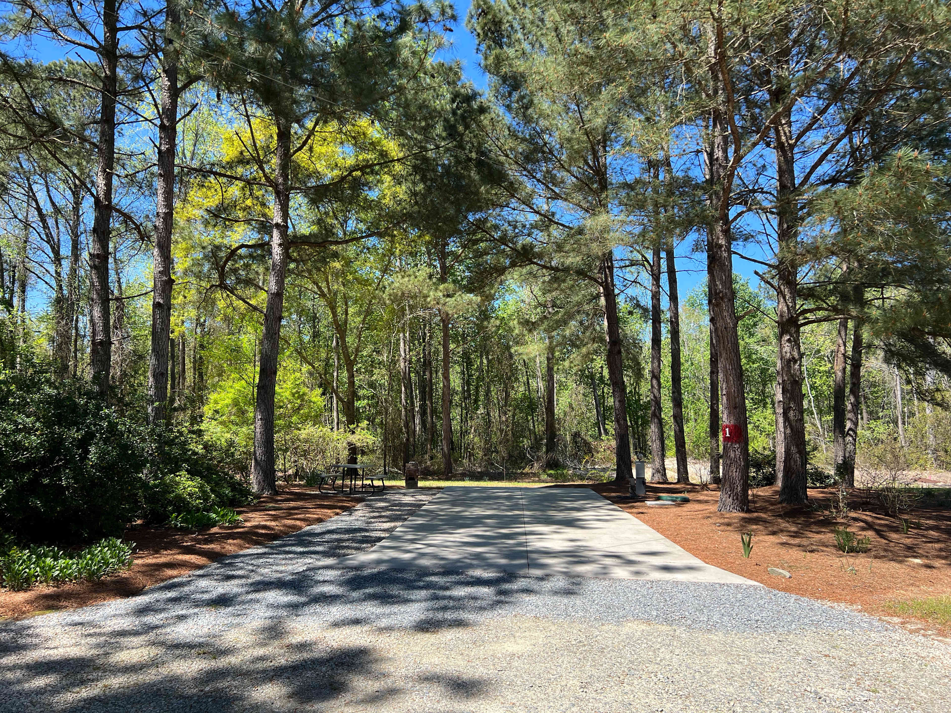Picture of the site