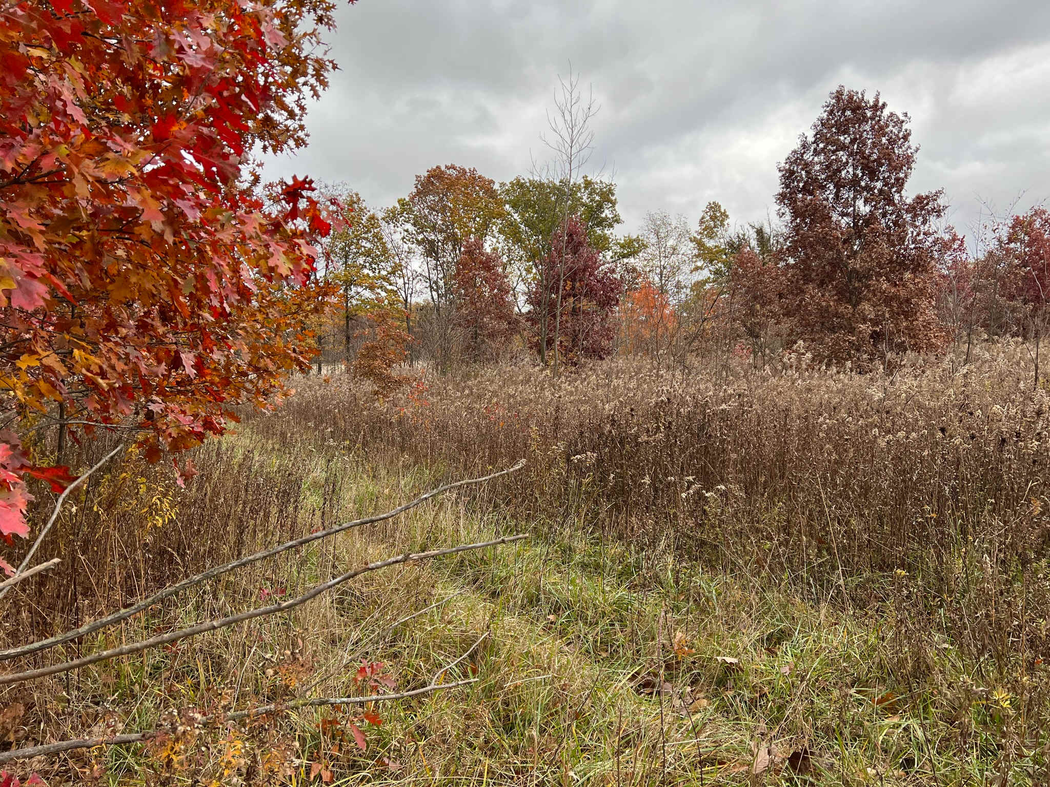 Walnut Grove Farm