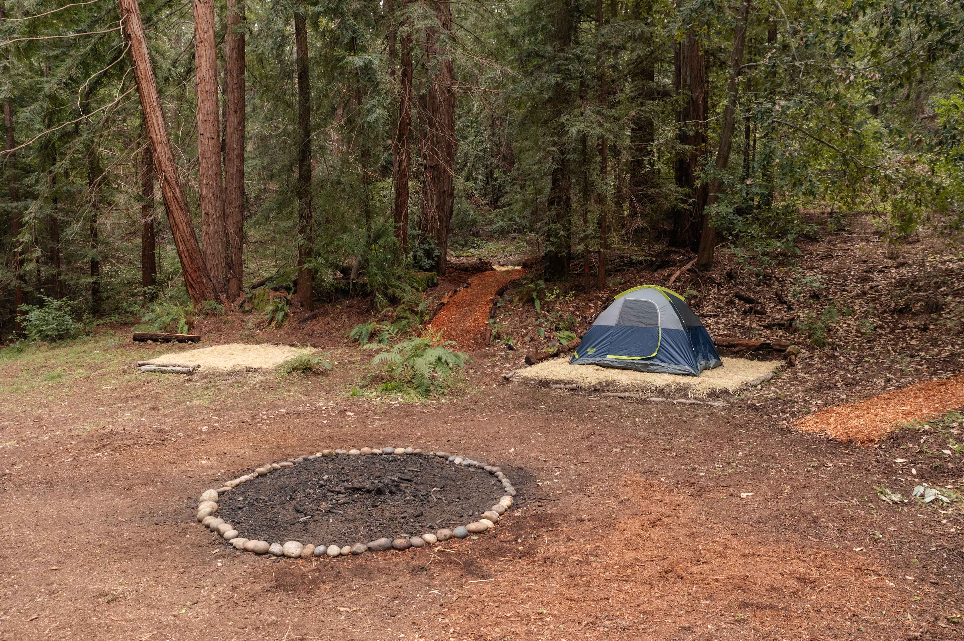 each site is plenty big for a 6 person tent