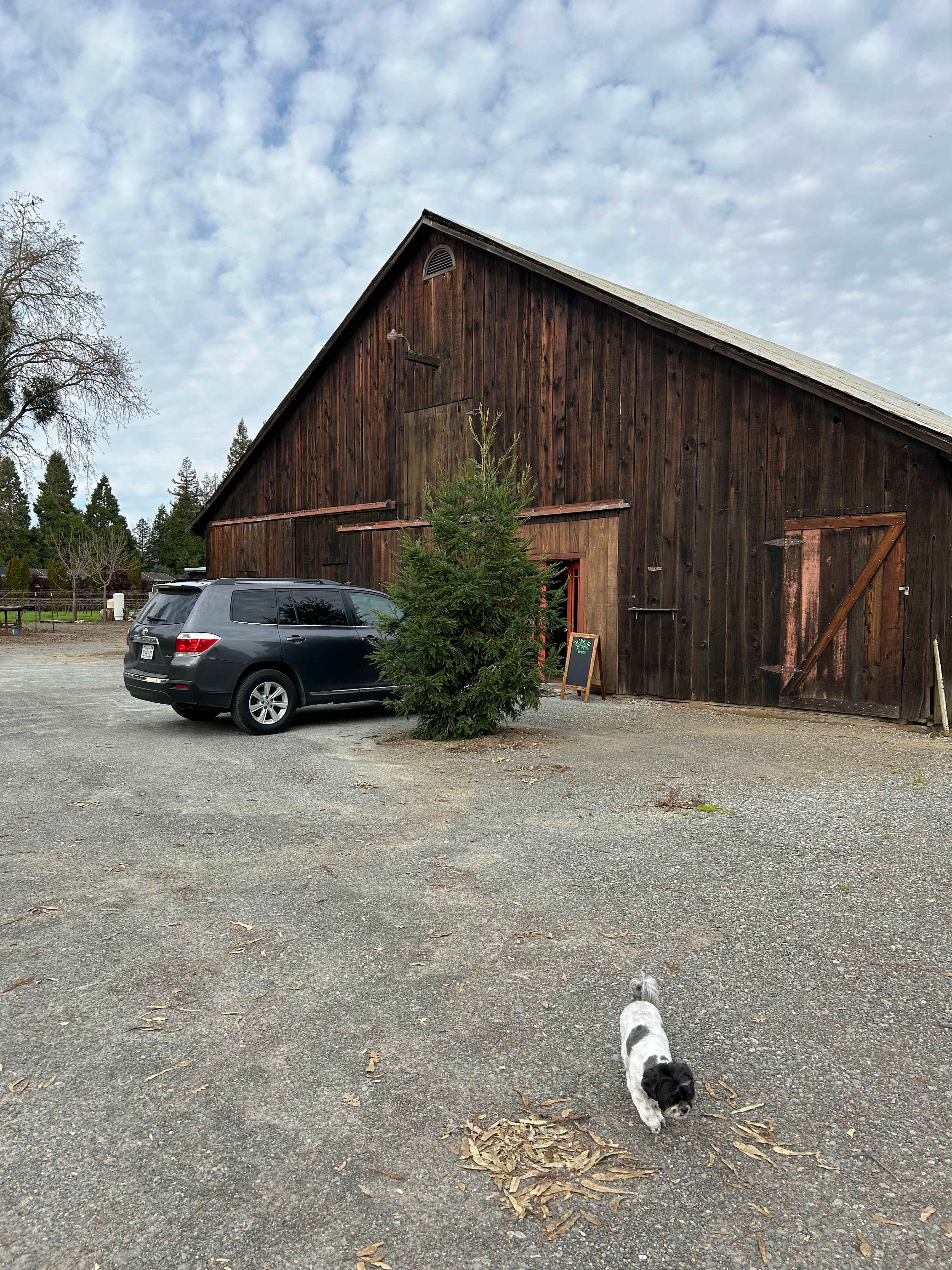 Herrick Vineyards Barn Yard