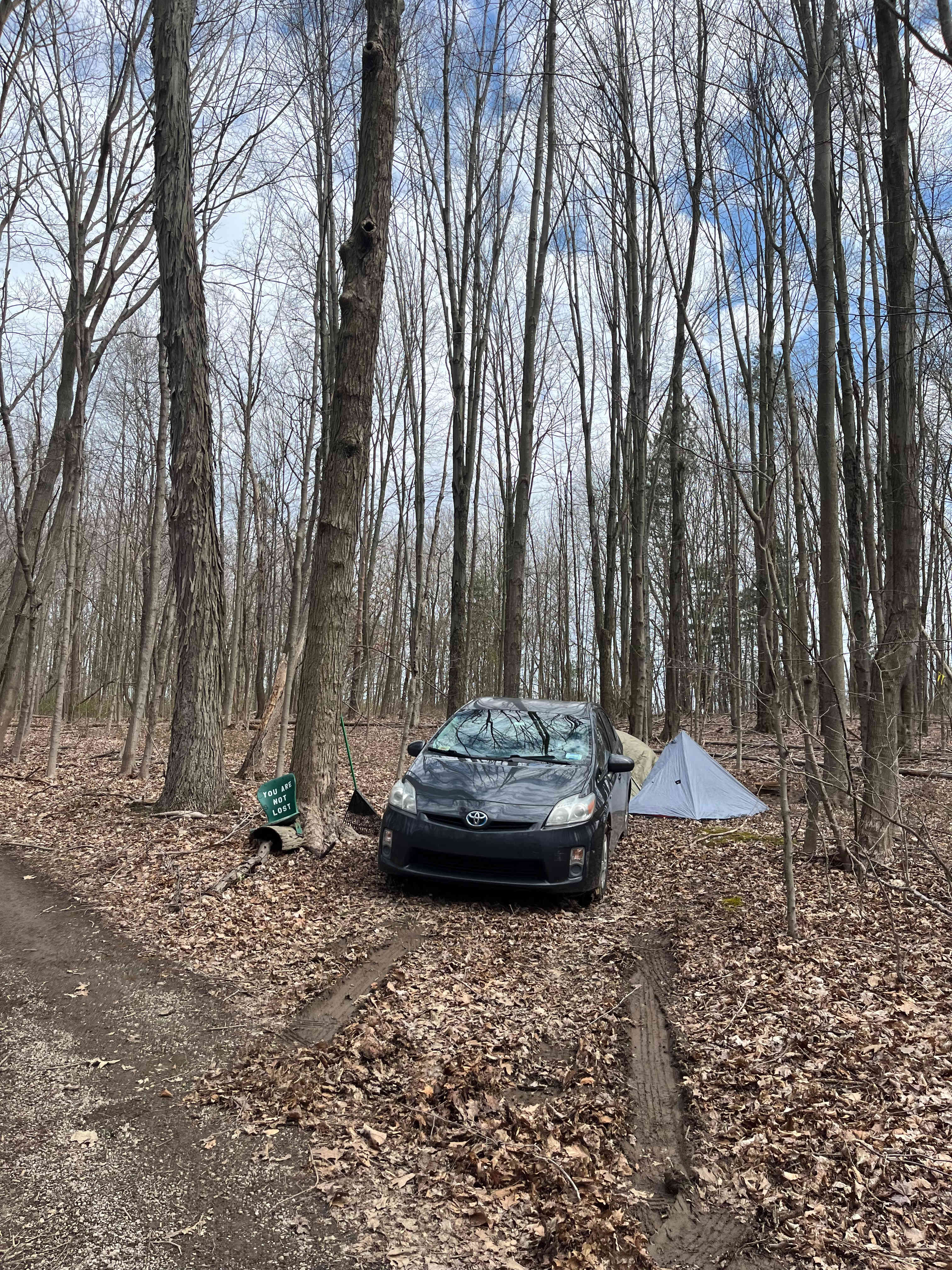 Picture of the site