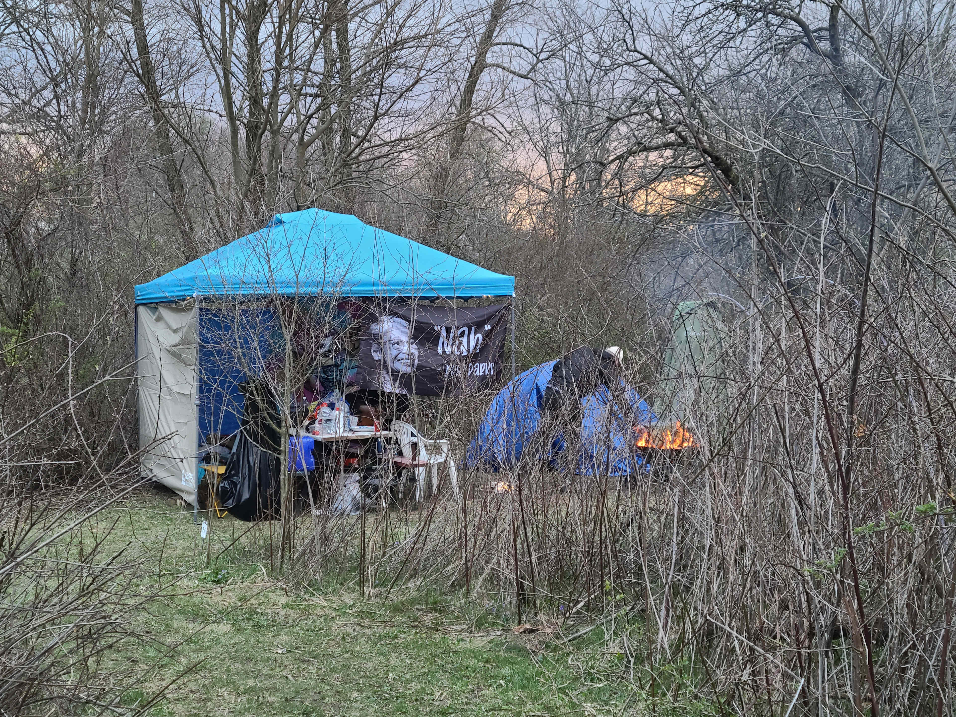 Picture of the site