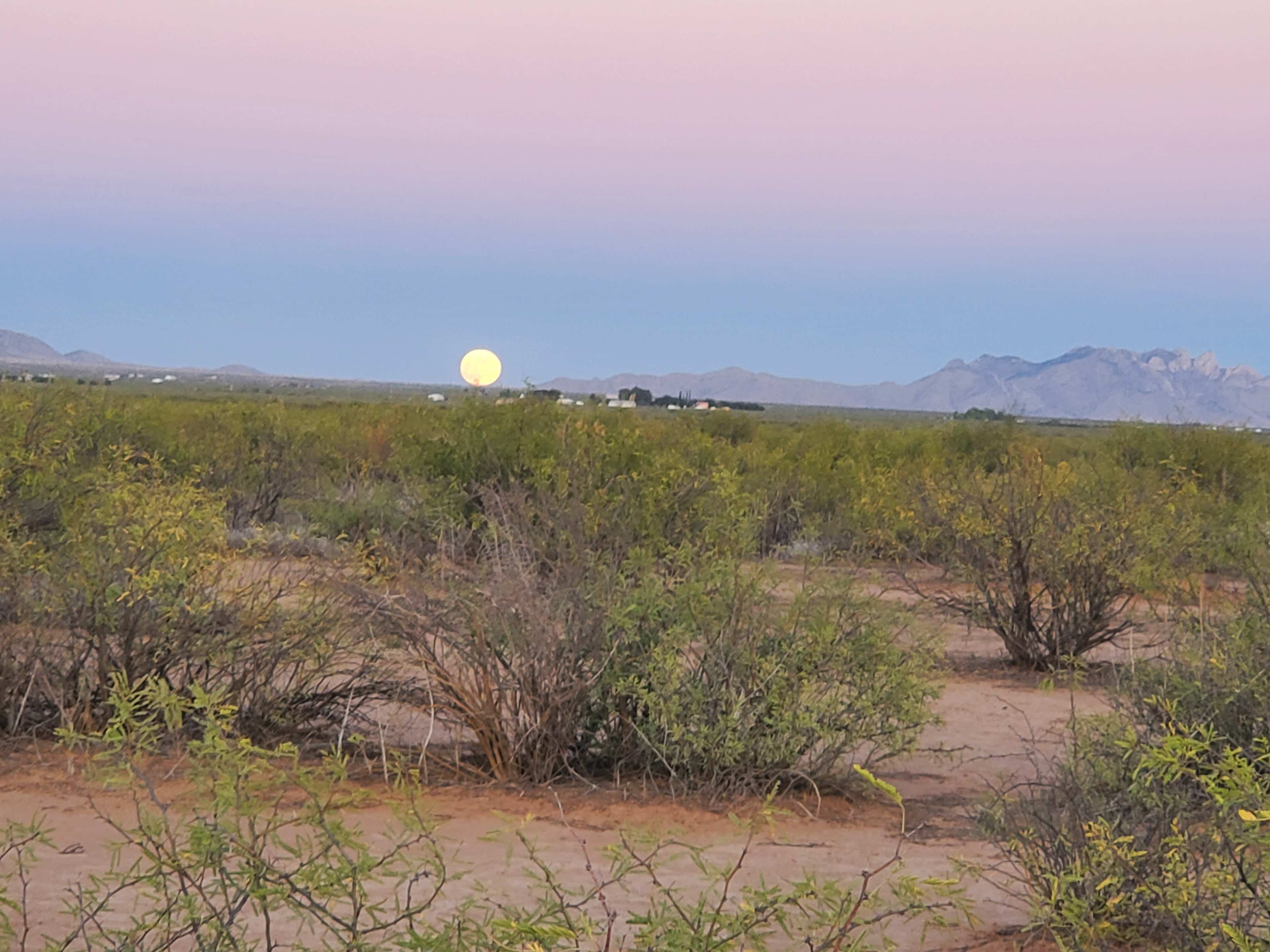 Desert Mermaid Ranch
