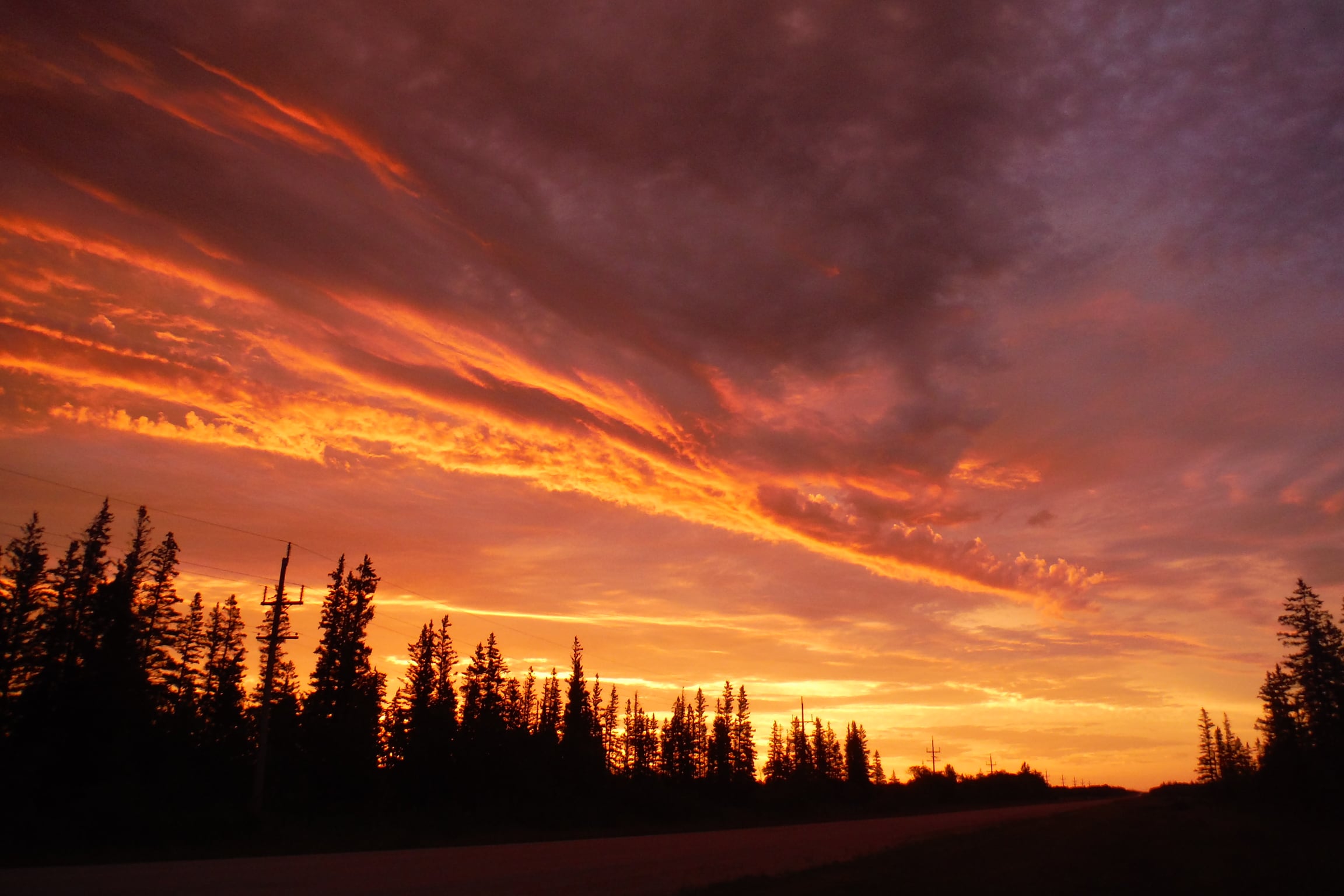 A picture of the sunrise at the farm entrance 