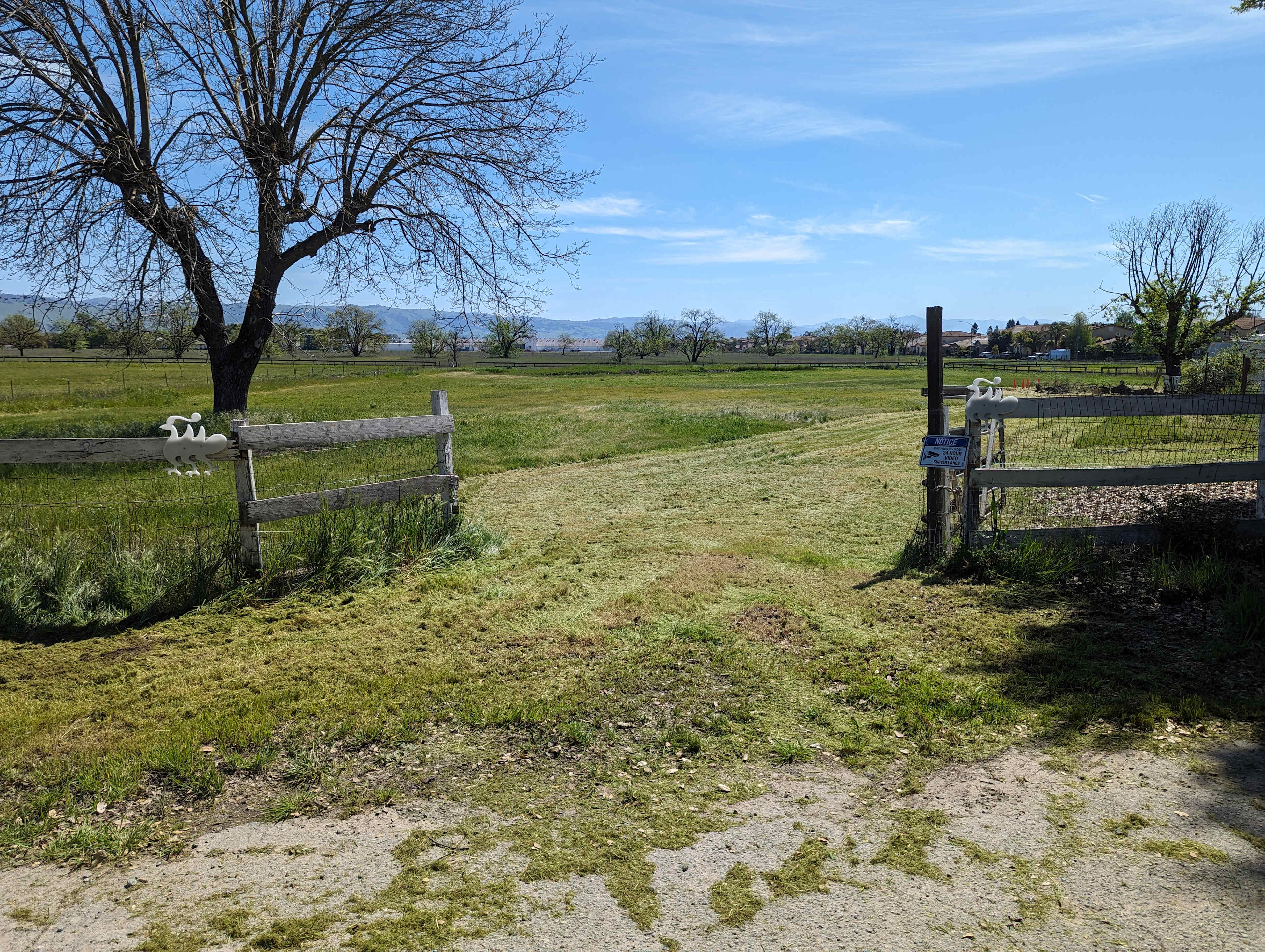 Picture of the site