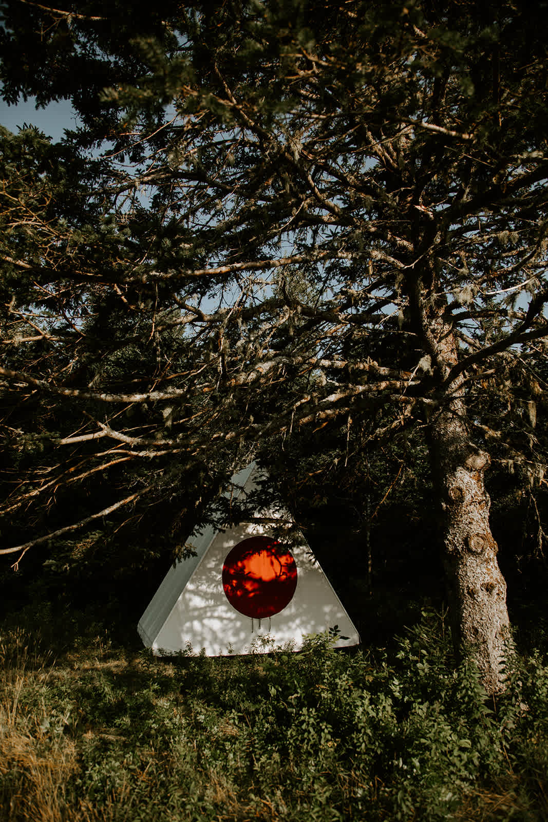 Blueberry Land Tent Platforms