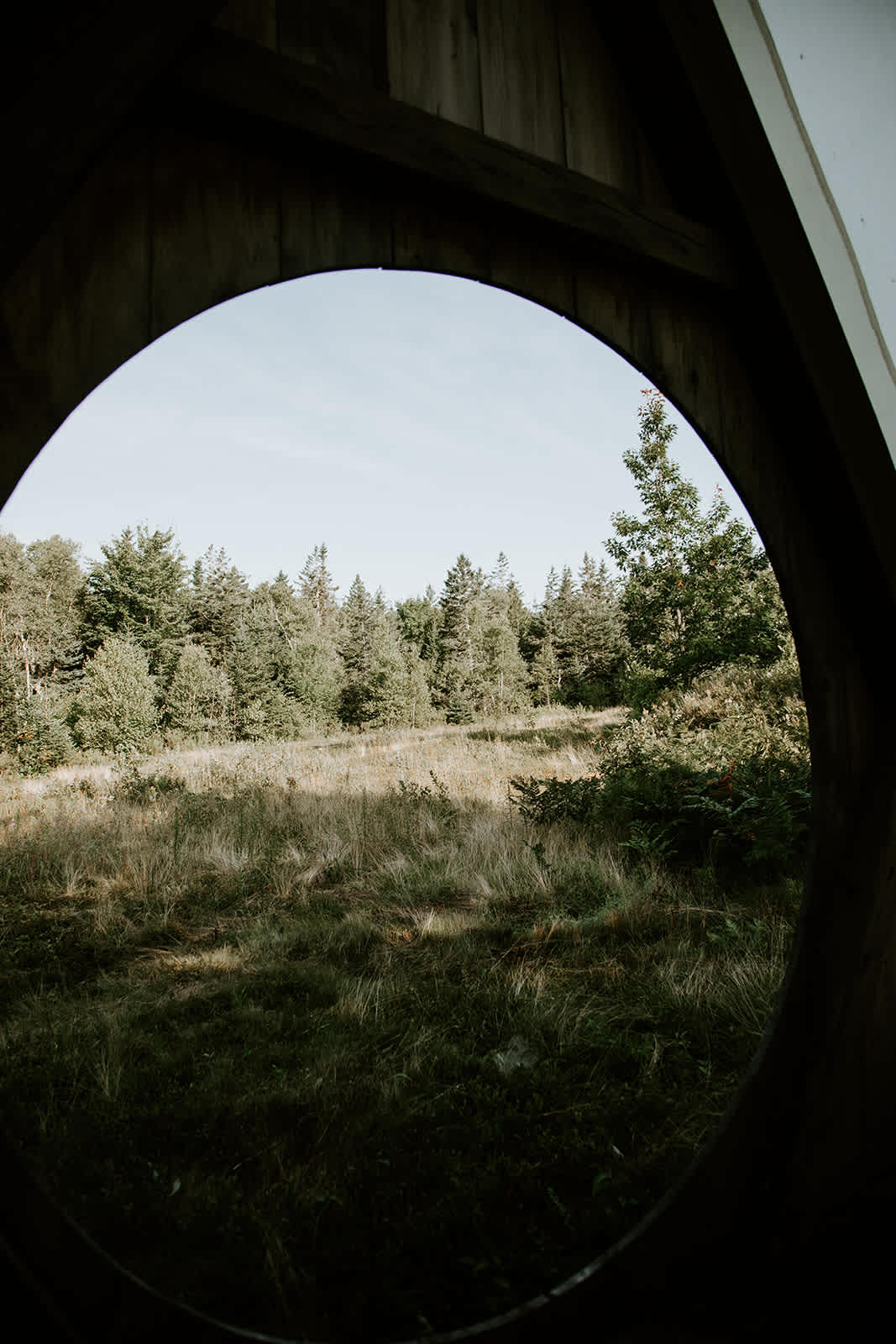 Blueberry Land Tent Platforms