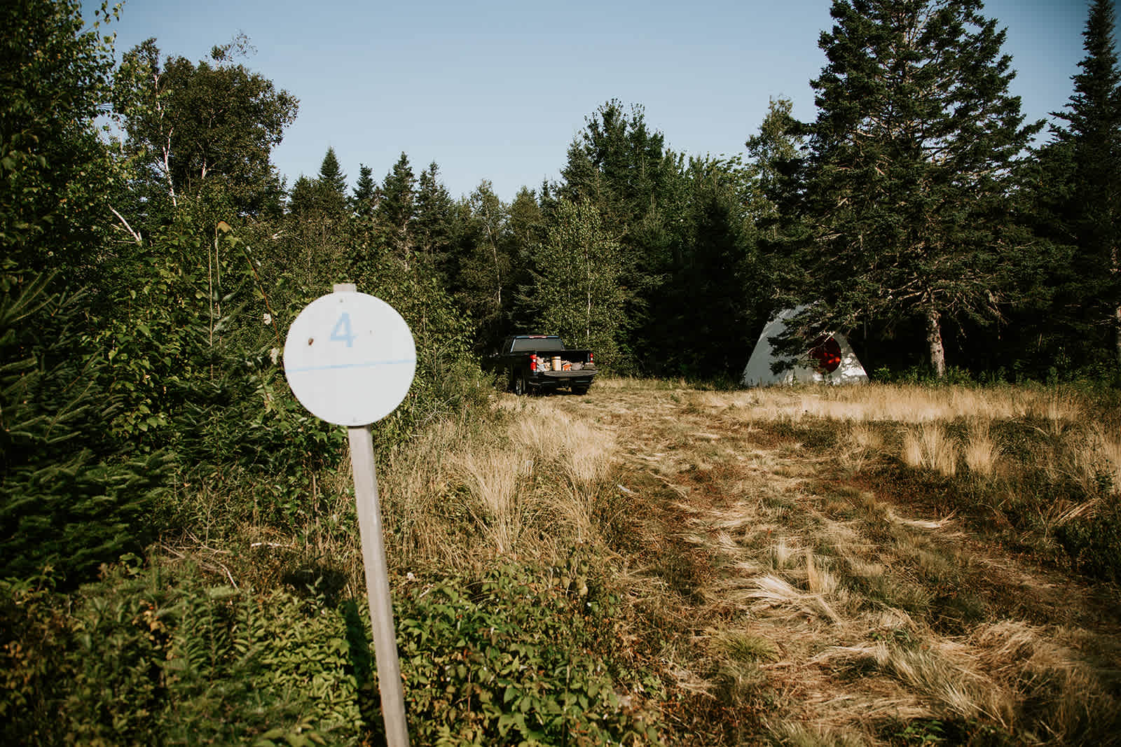 Blueberry Land Tent Platforms