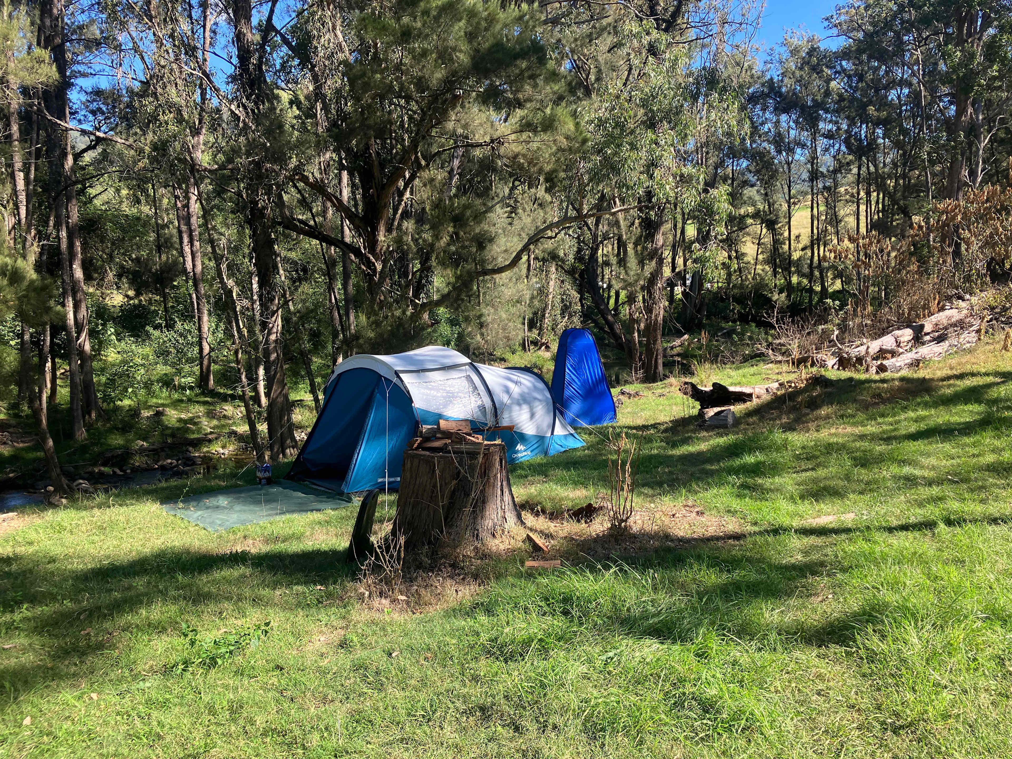 Picture of the site