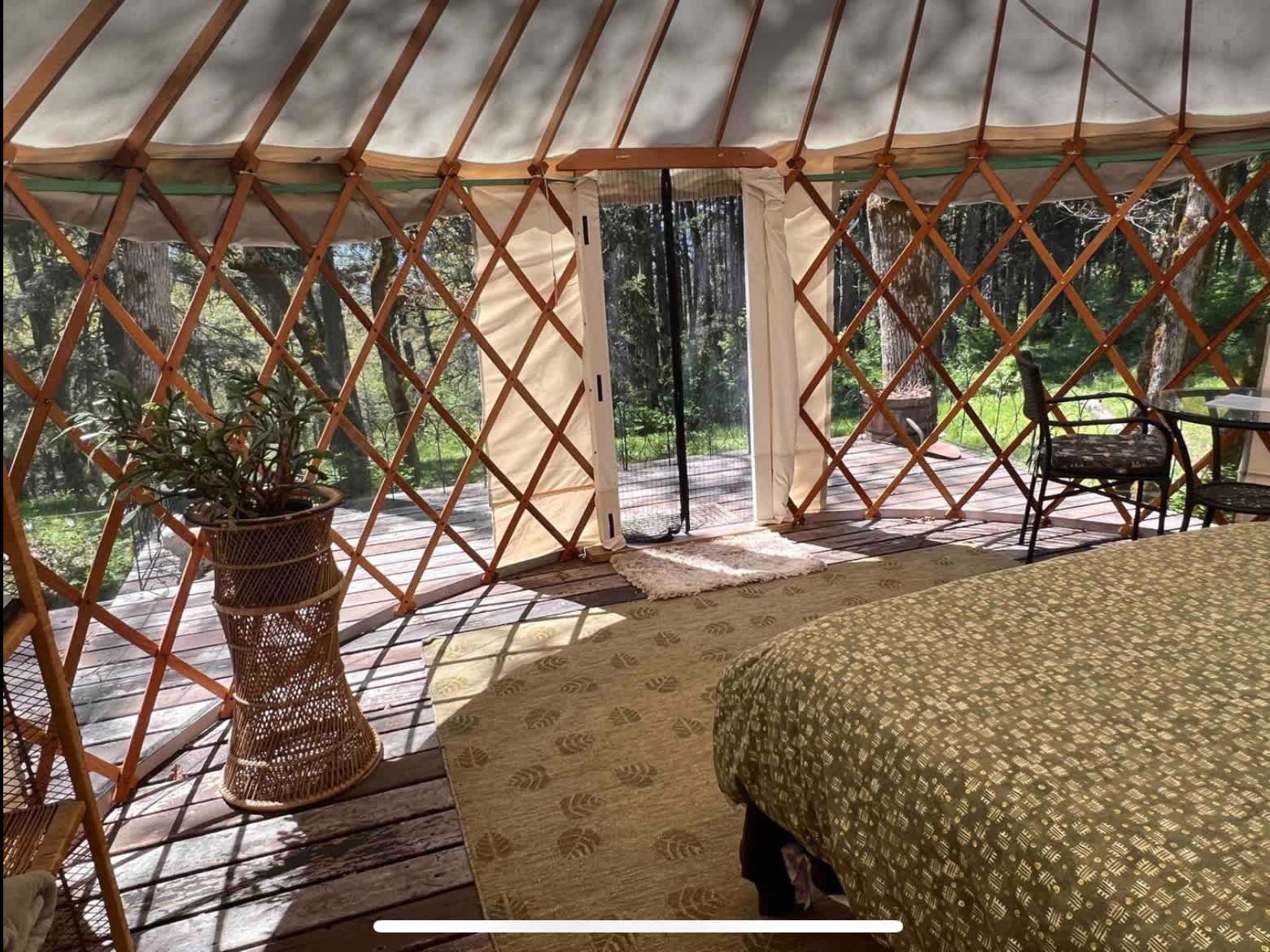 Yurt camp near White Salmon