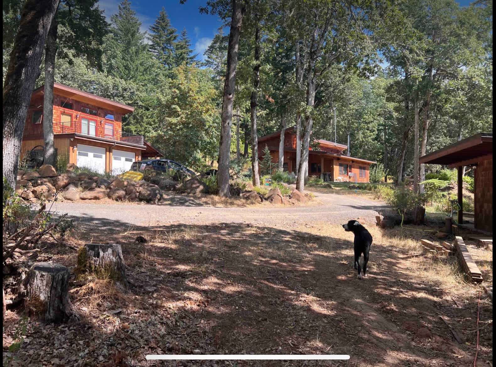 Yurt camp near White Salmon