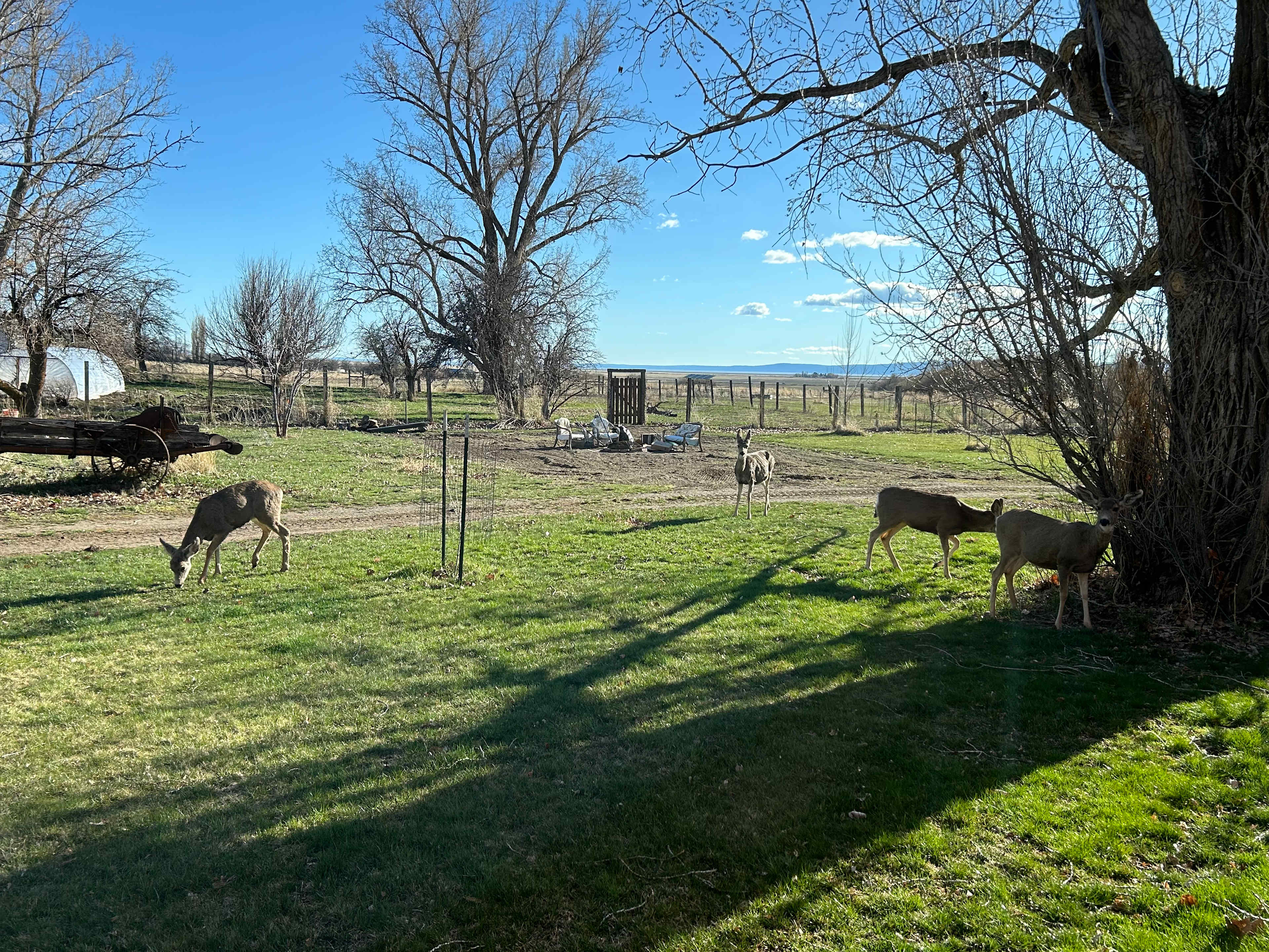 Goose Lake Organics