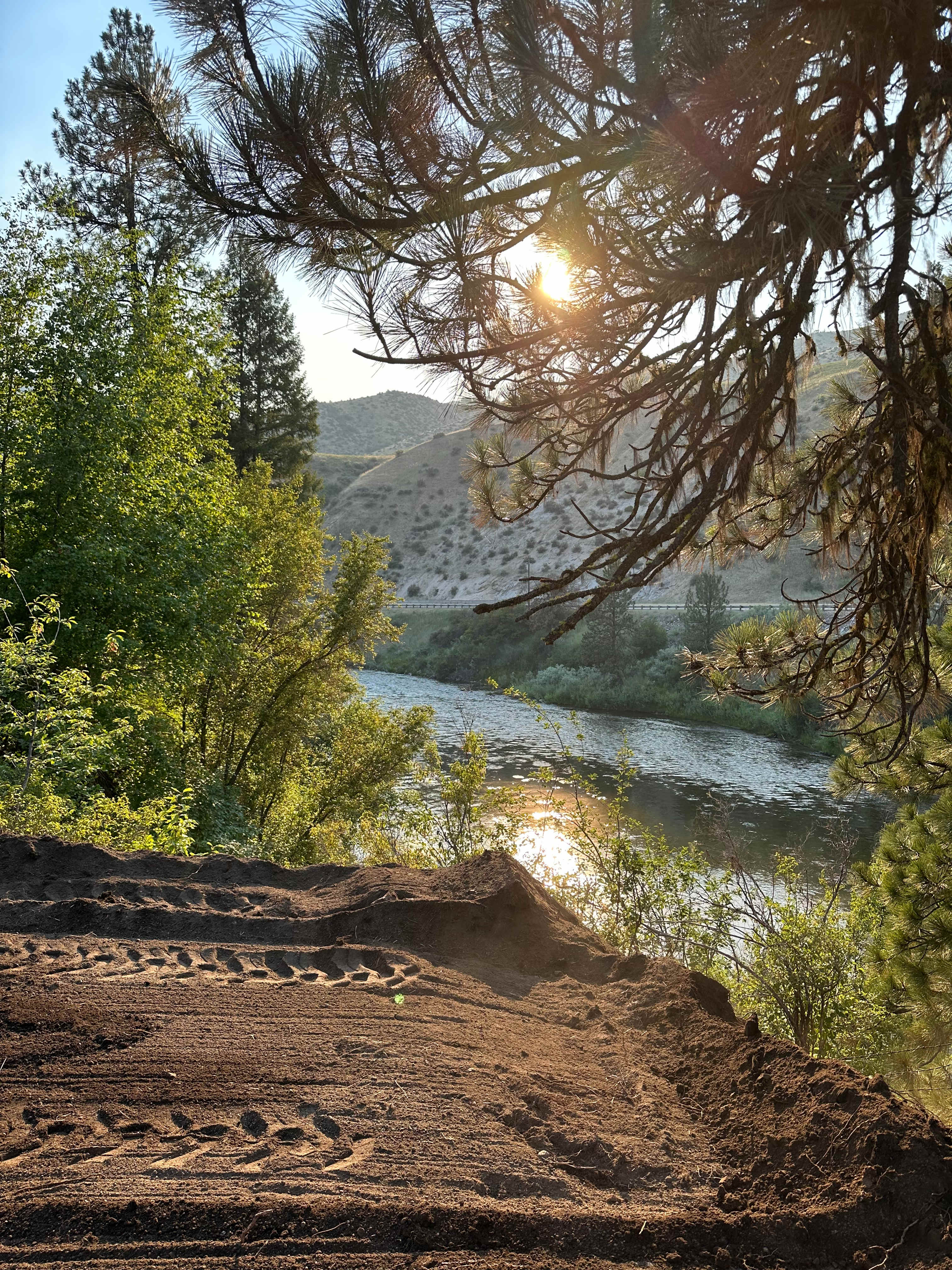 Picture of the site