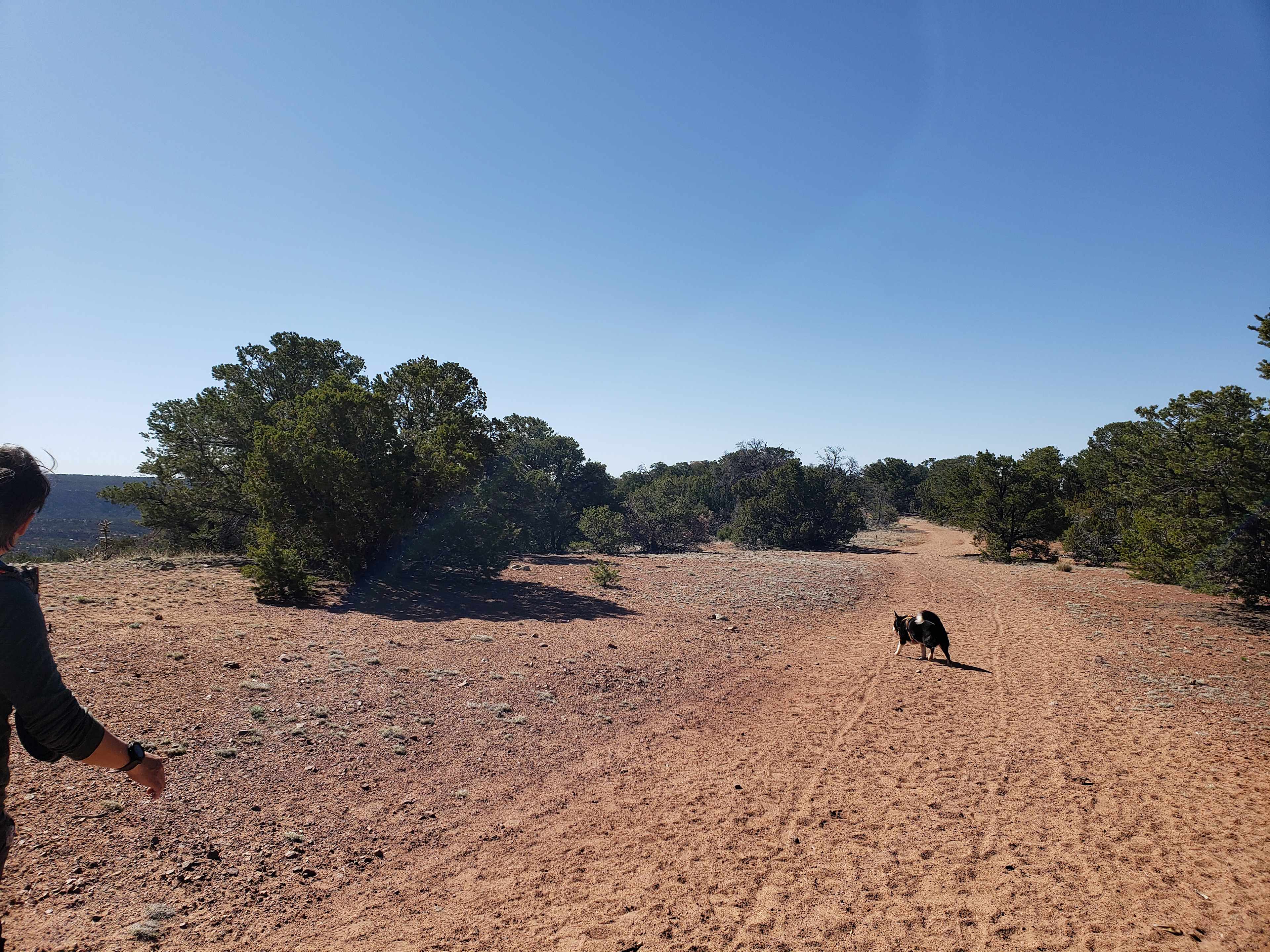 Santa Fe Ridgetop Oasis - Hike In