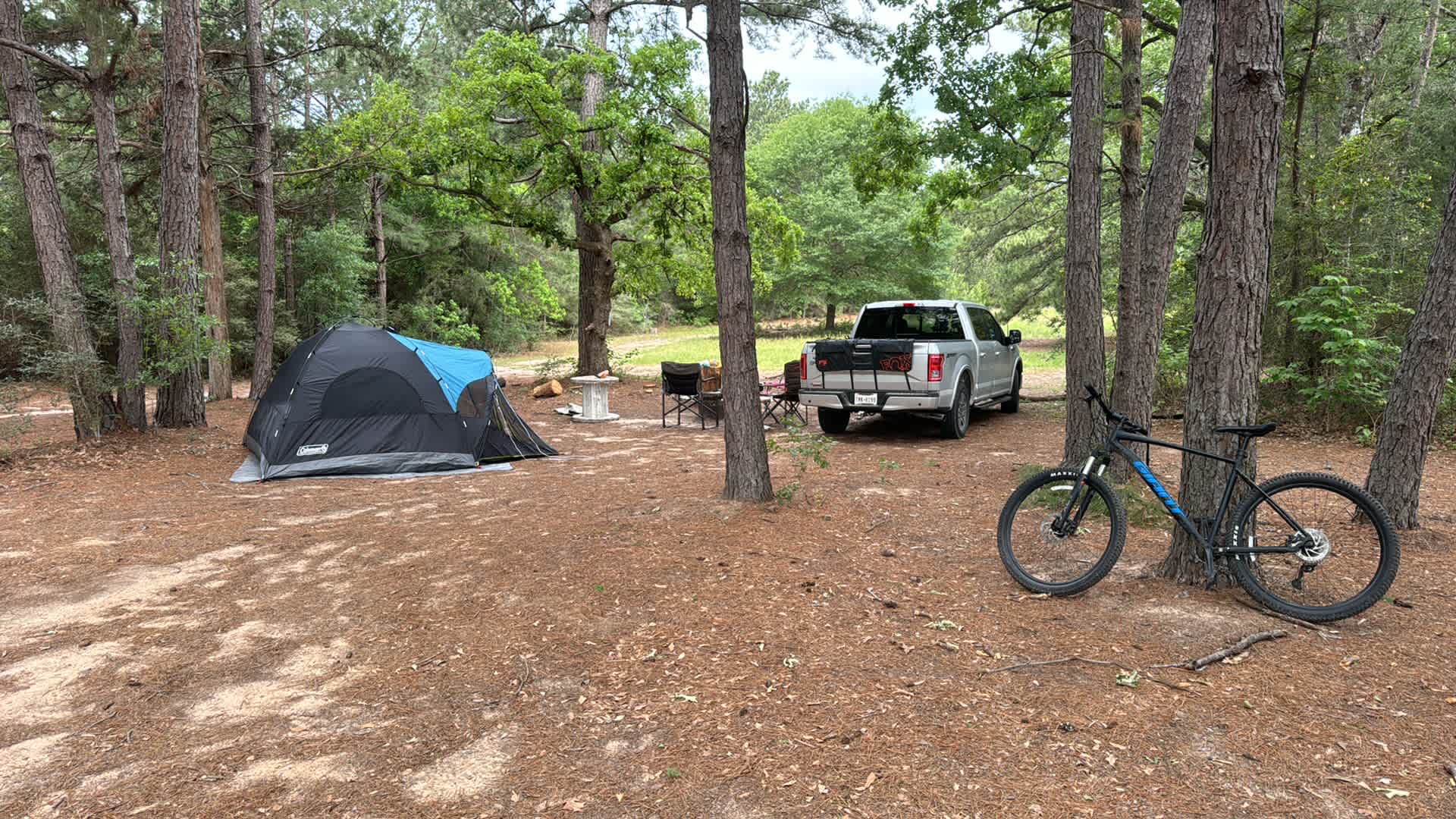 Picture of the site