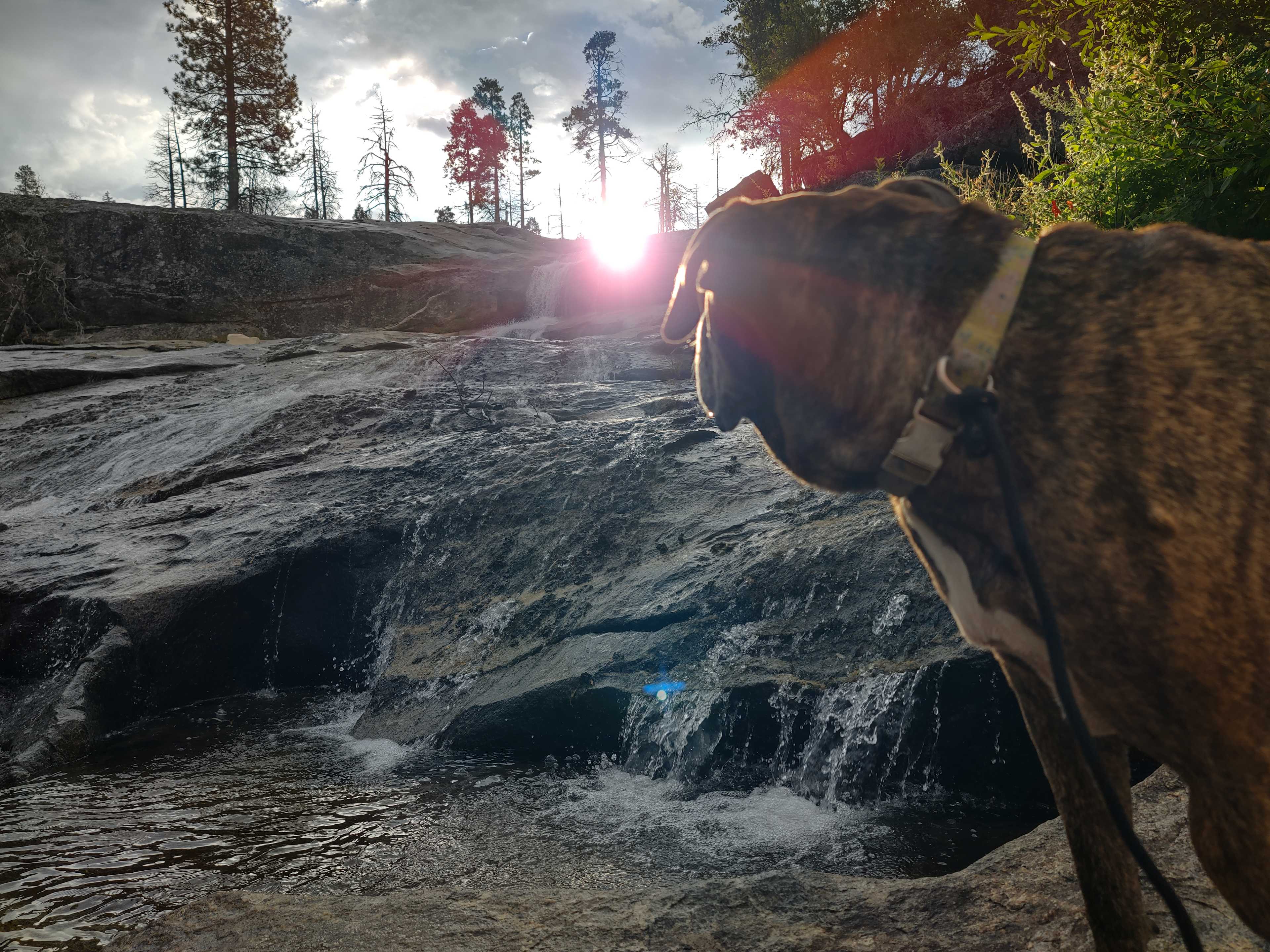Musick Creek Falls