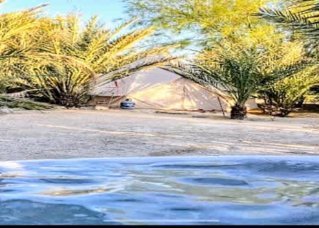 Mineral Spring Date Farm