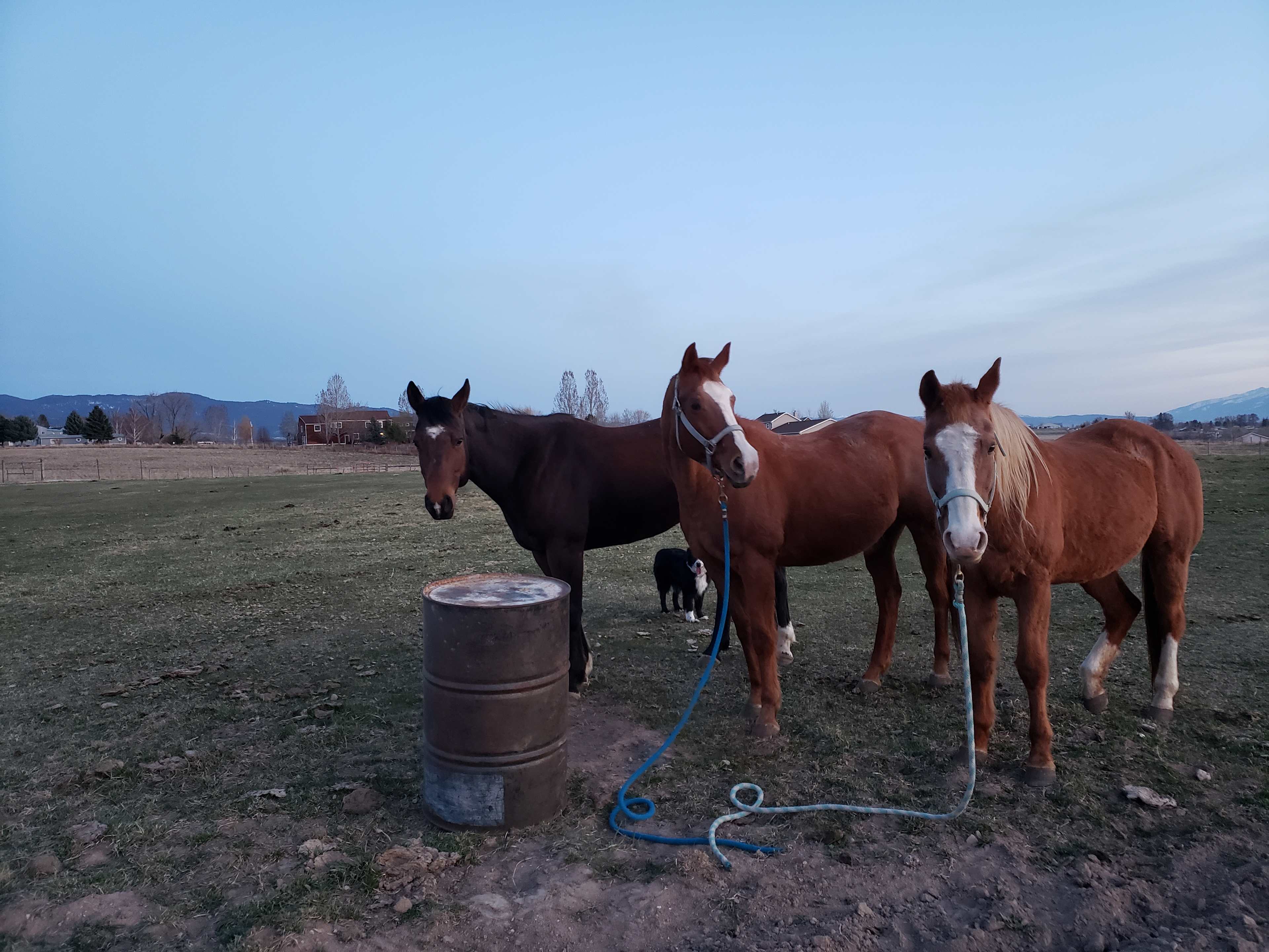 Bitterroot Farm Camping