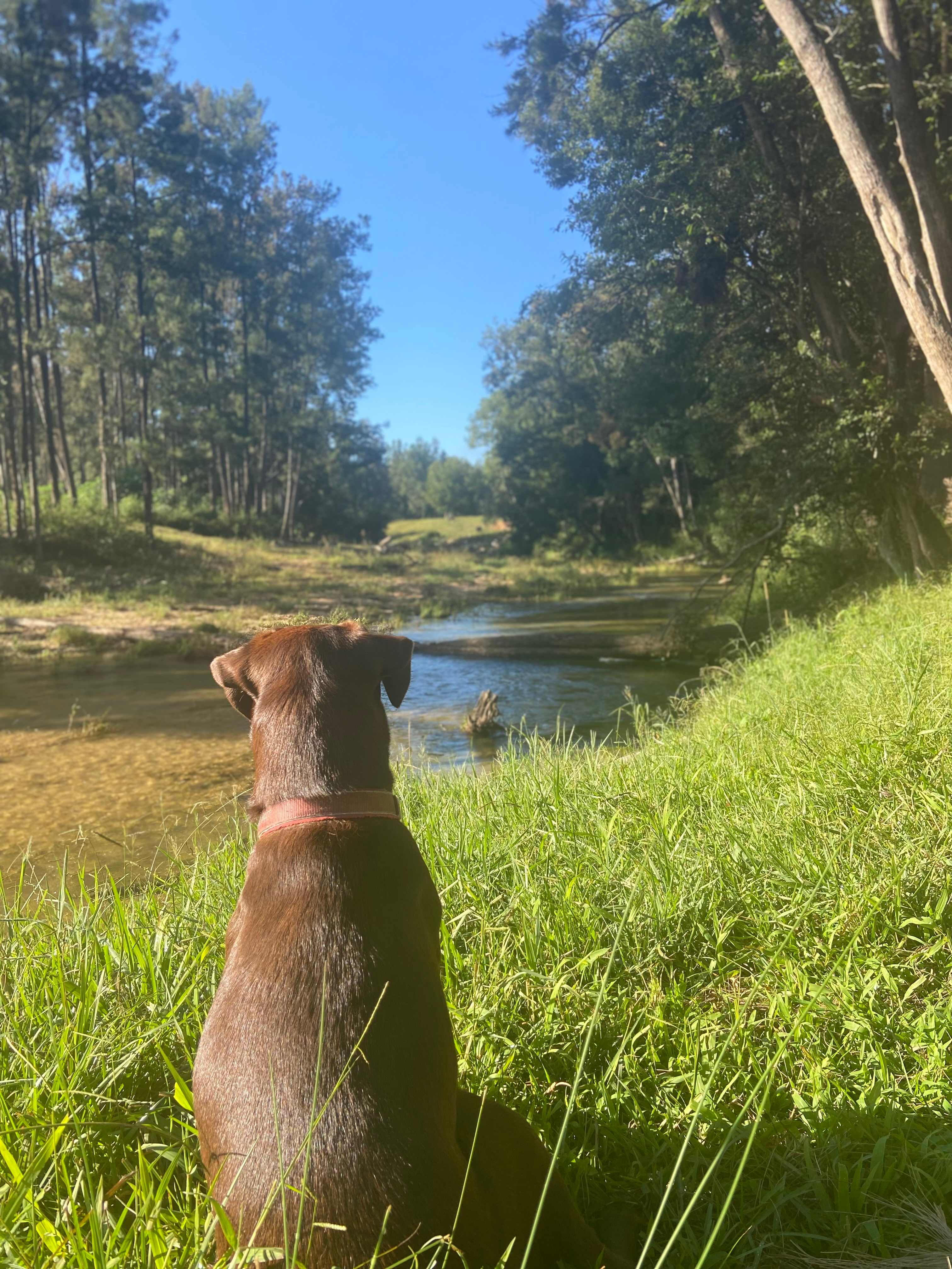 Ahhh, The serenity 