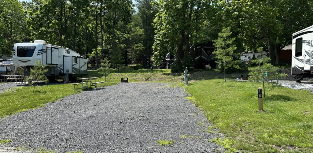 Picture of the site