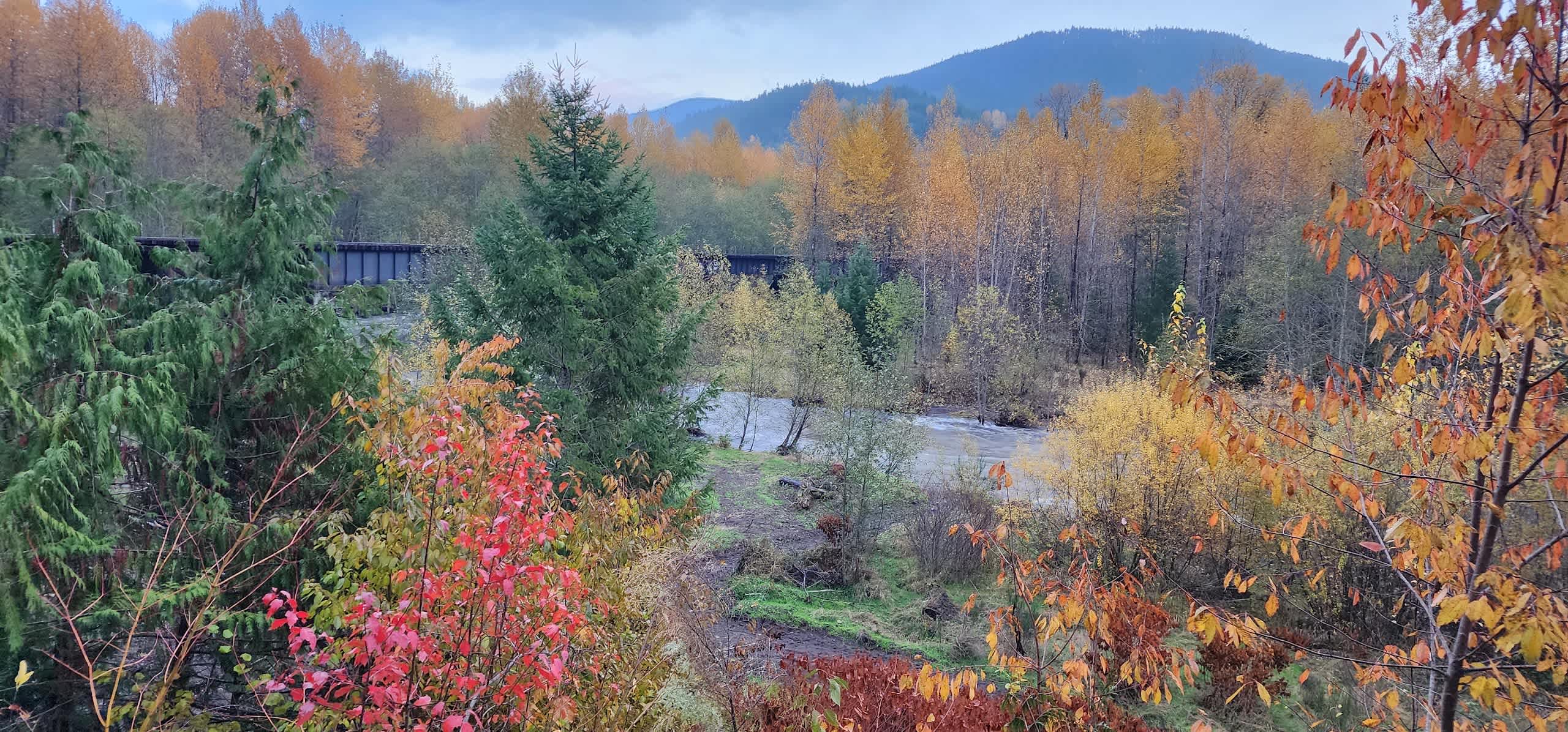 Riverside Camping Near Mt Rainier