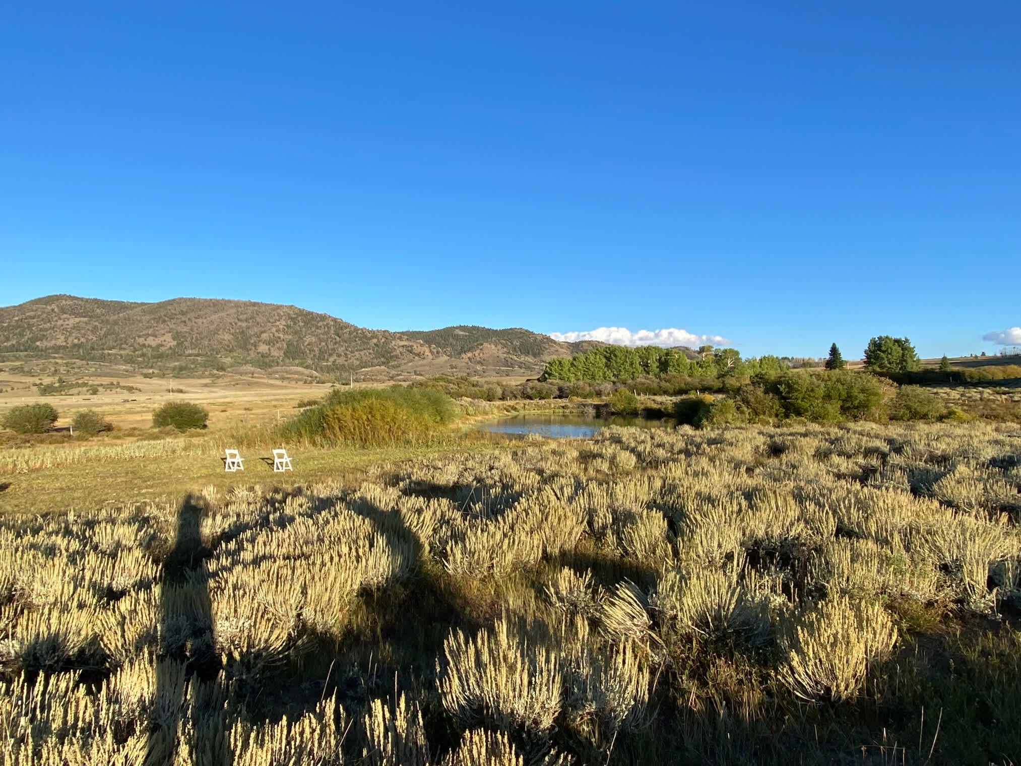 Picture of the site