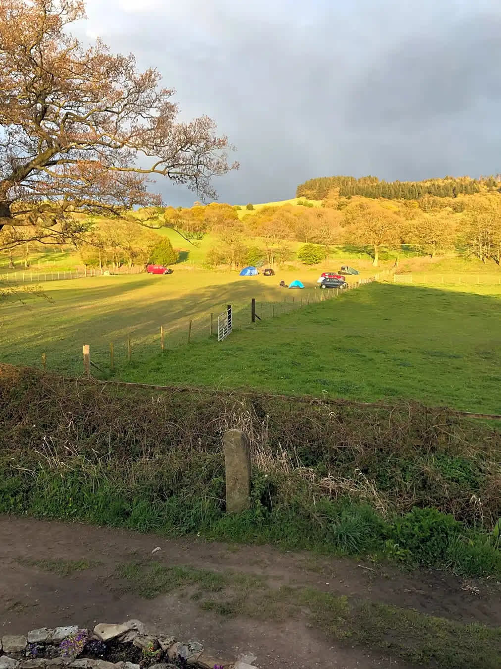Picture of the site